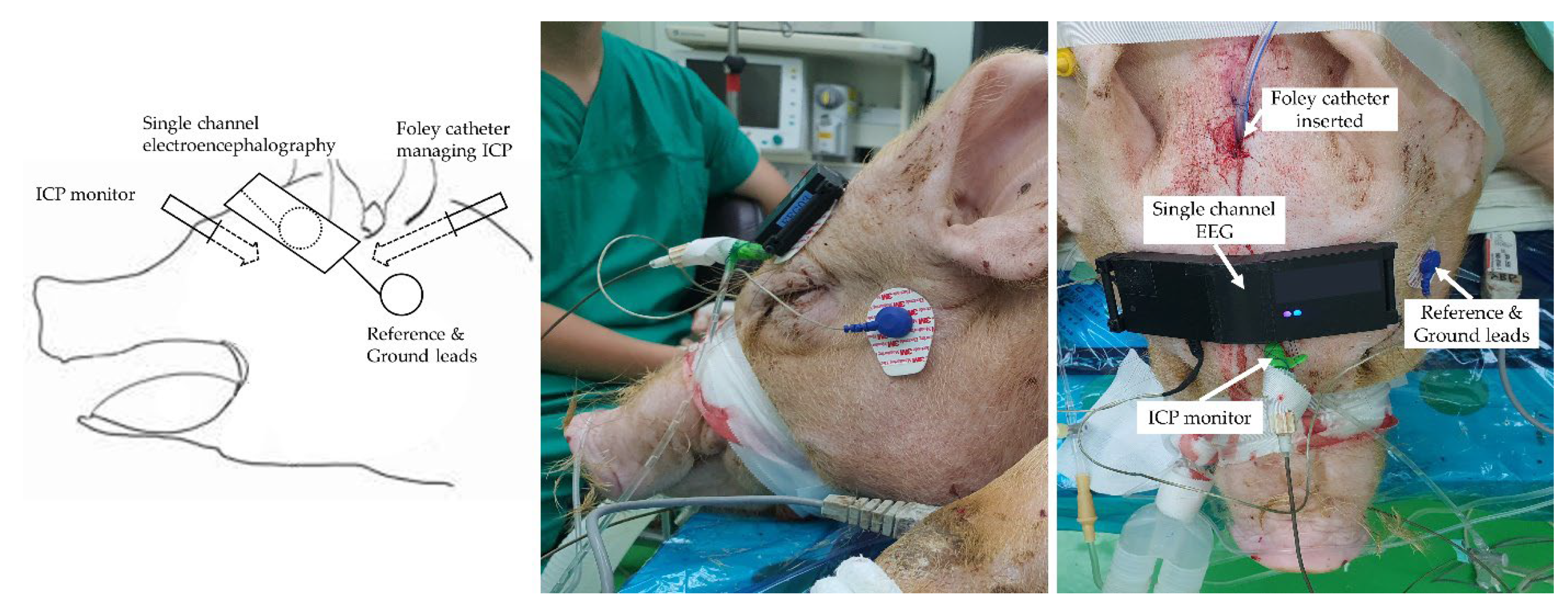 Diagnostics 13 00386 g002 Diagnostics 13 00386 g002