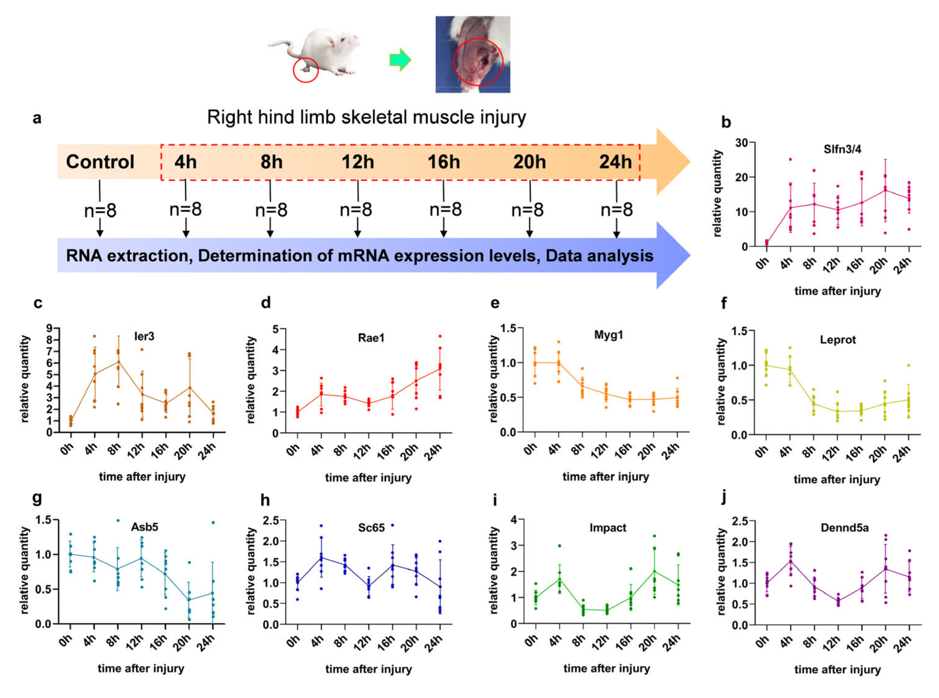 Diagnostics 13 00395 g002