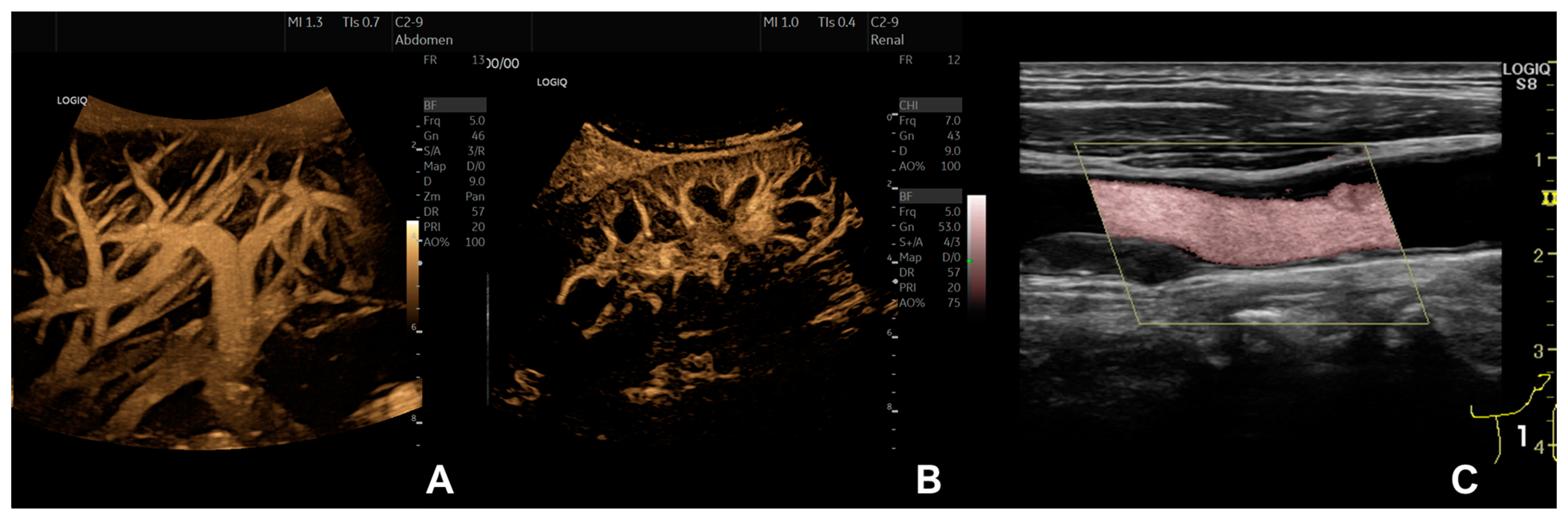 Diagnostics 13 00397 g002