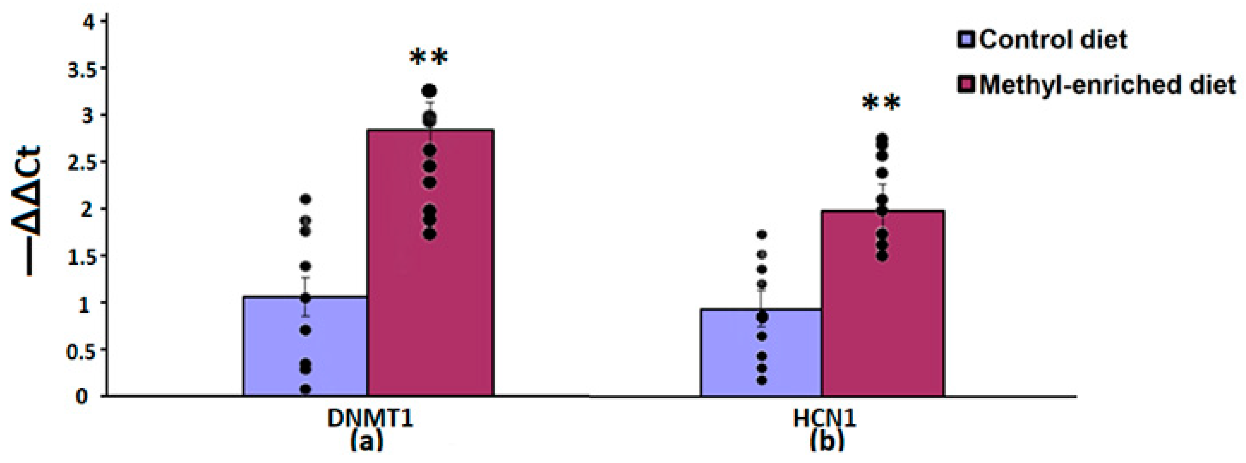 Diagnostics 13 00398 g005
