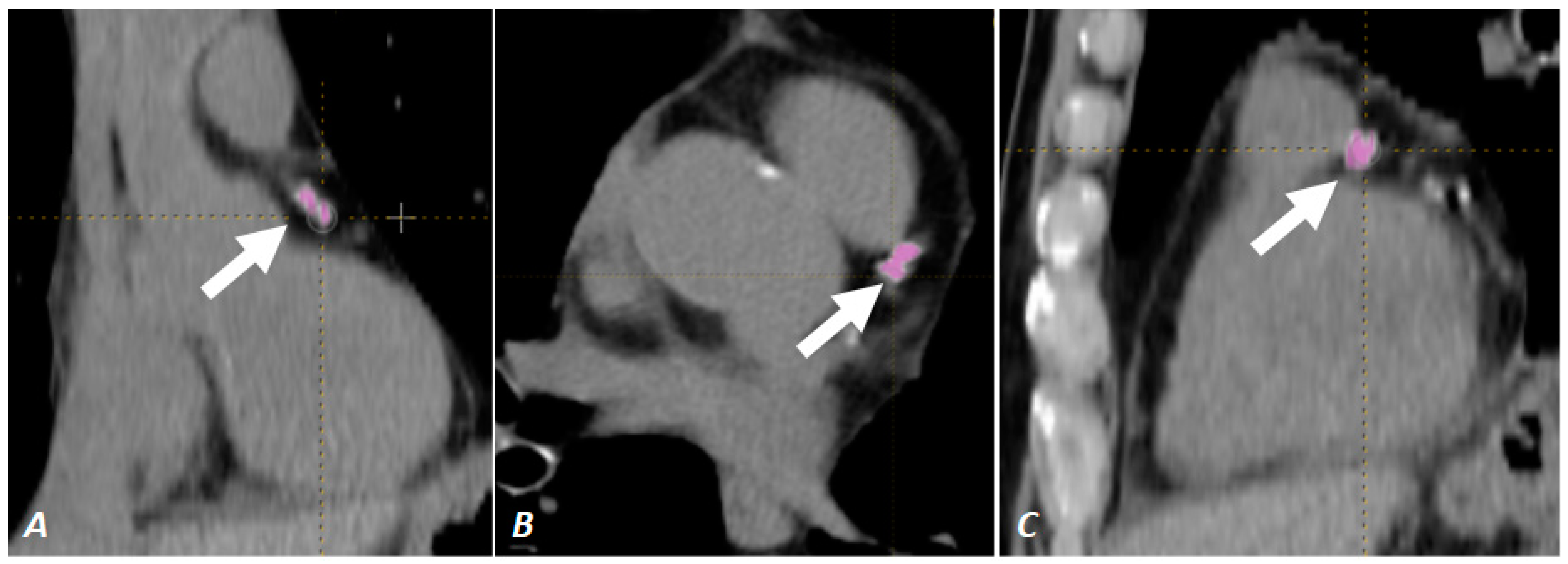 Diagnostics 13 00400 g001