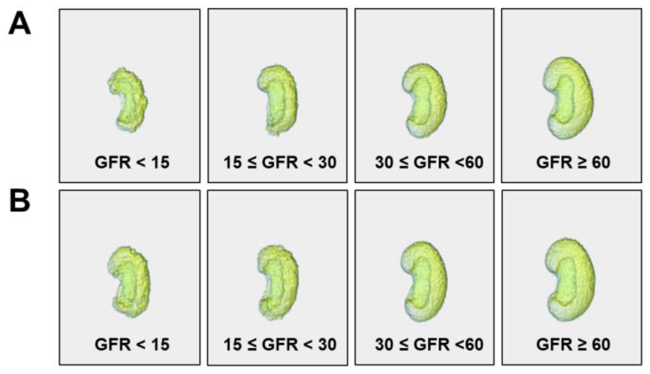 Diagnostics 13 00402 g004