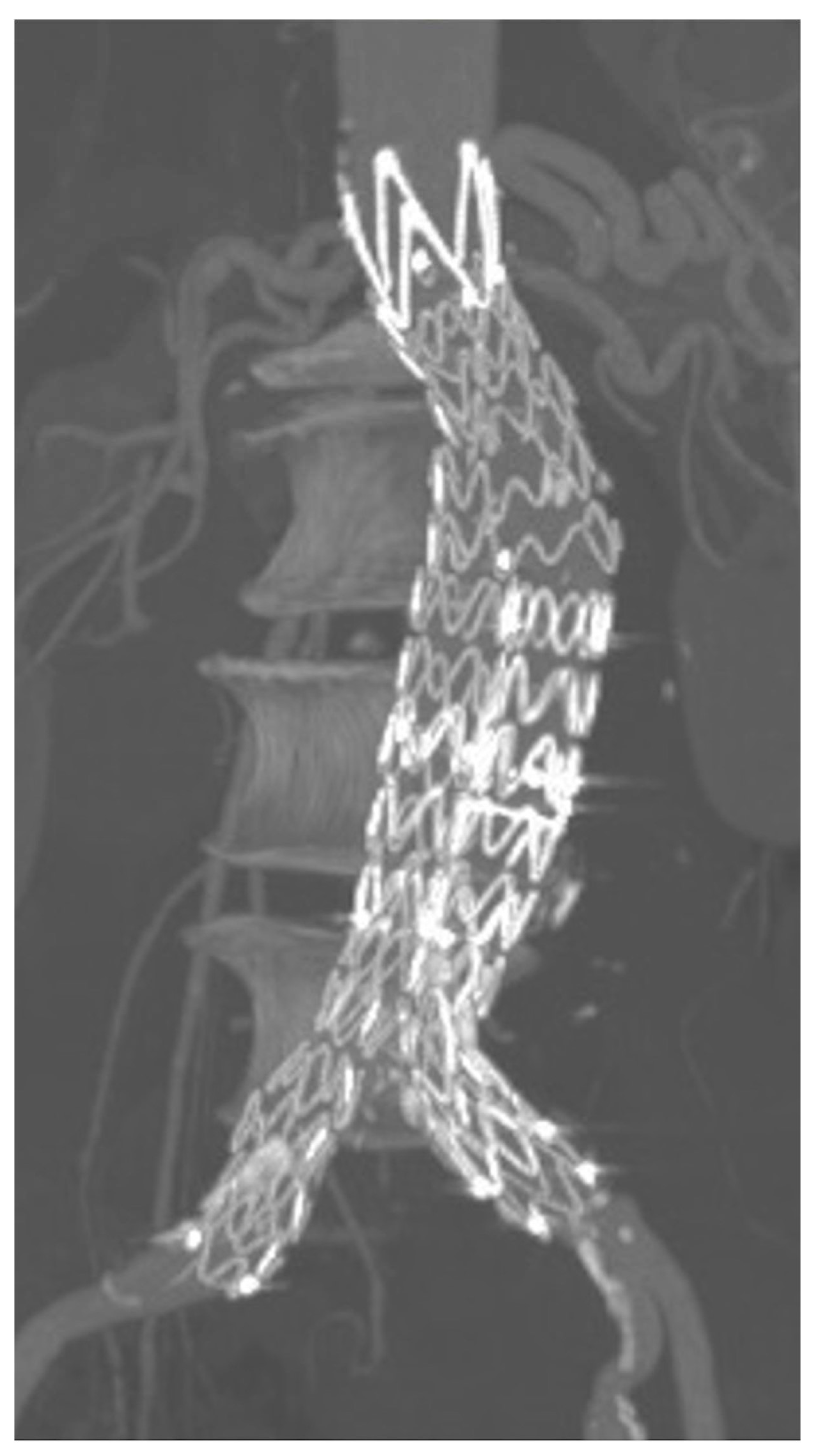 Diagnostics 13 00409 g002