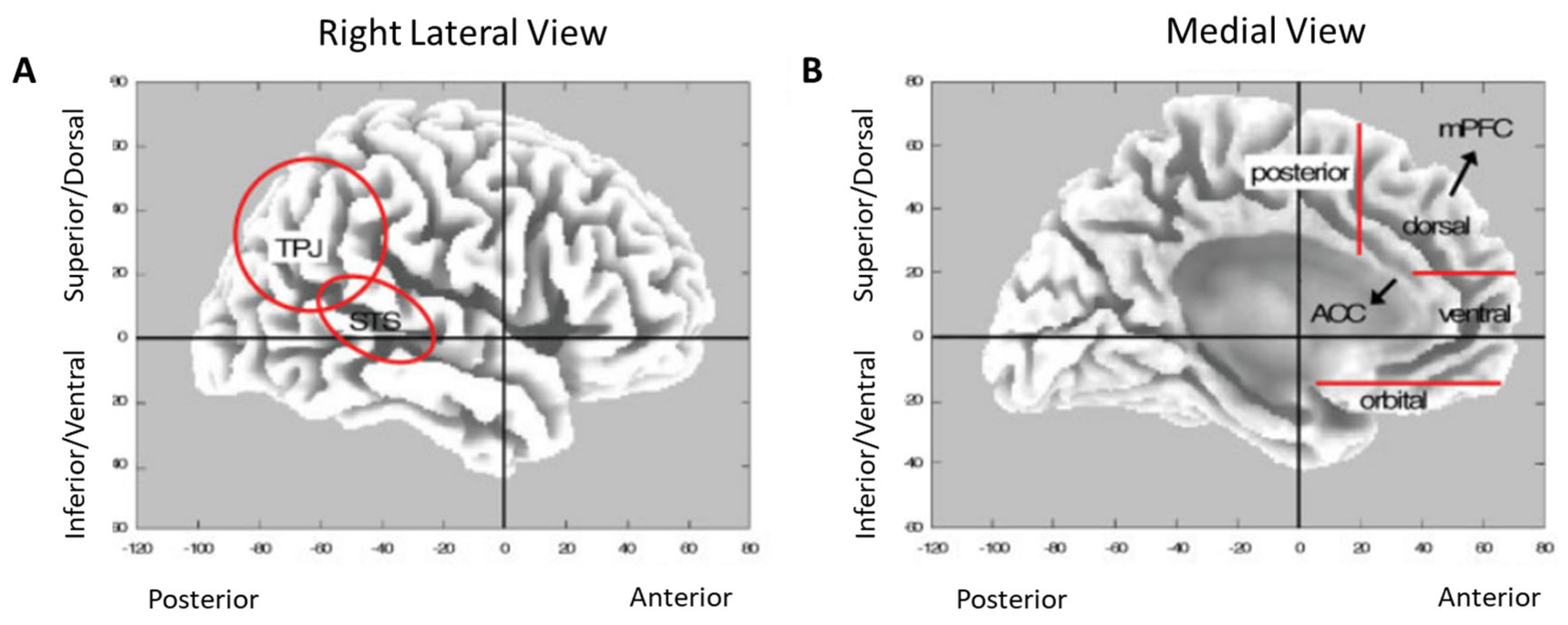 Diagnostics 13 00415 g002 Diagnostics 13 00415 g002