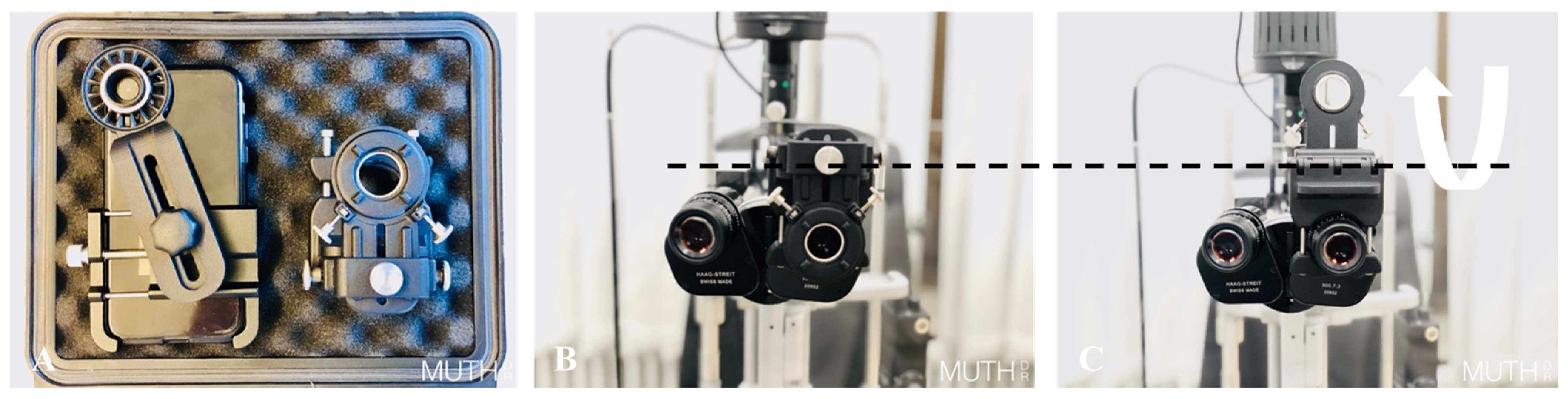 Diagnostics 13 00423 g001