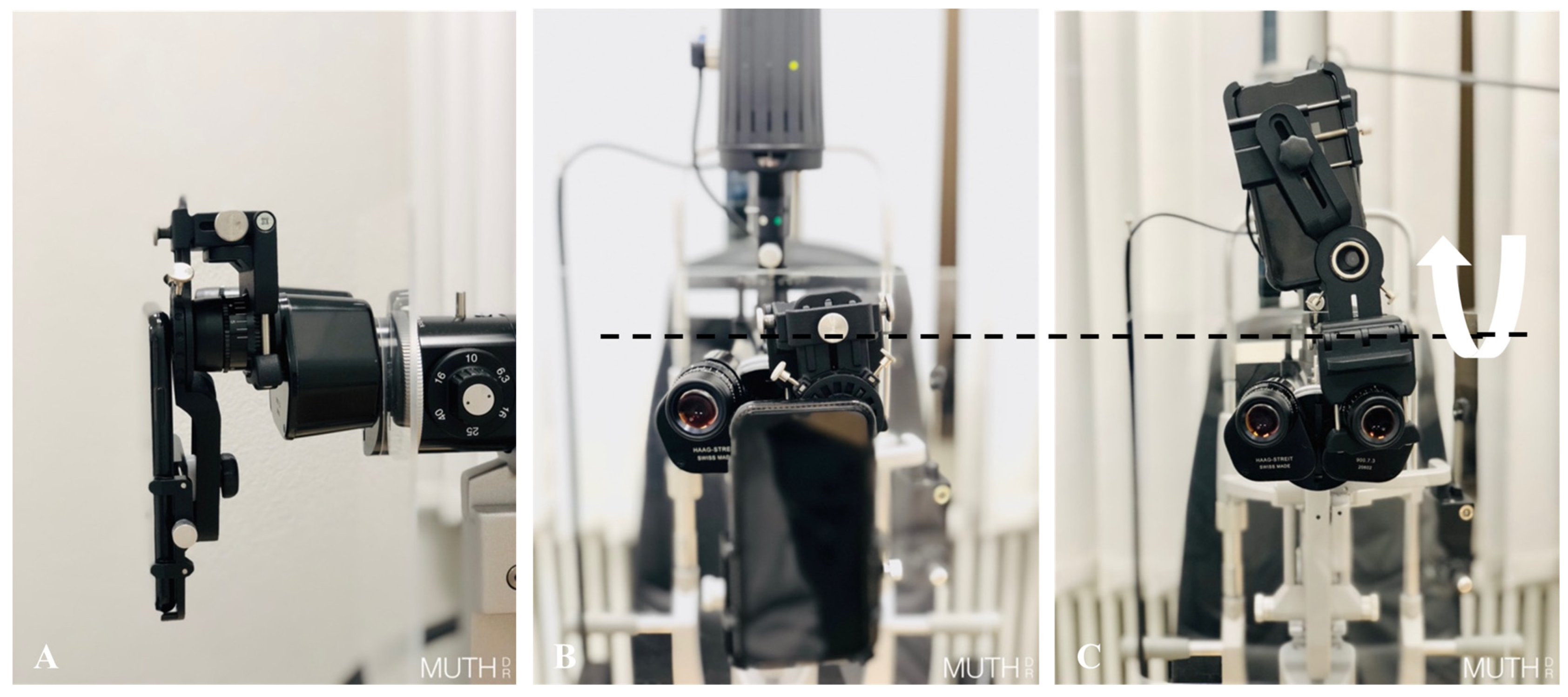 Diagnostics 13 00423 g002