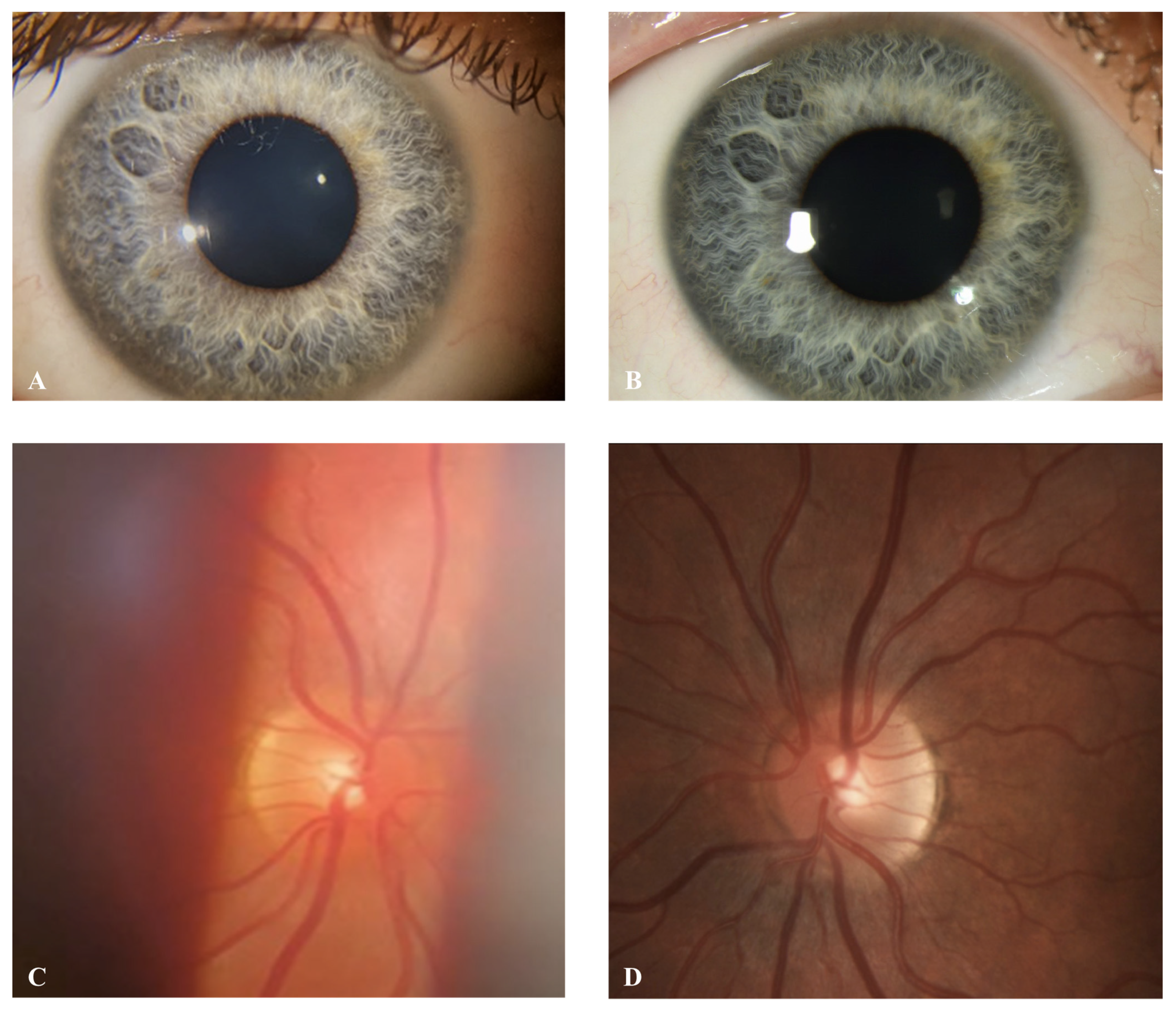 Diagnostics 13 00423 g003