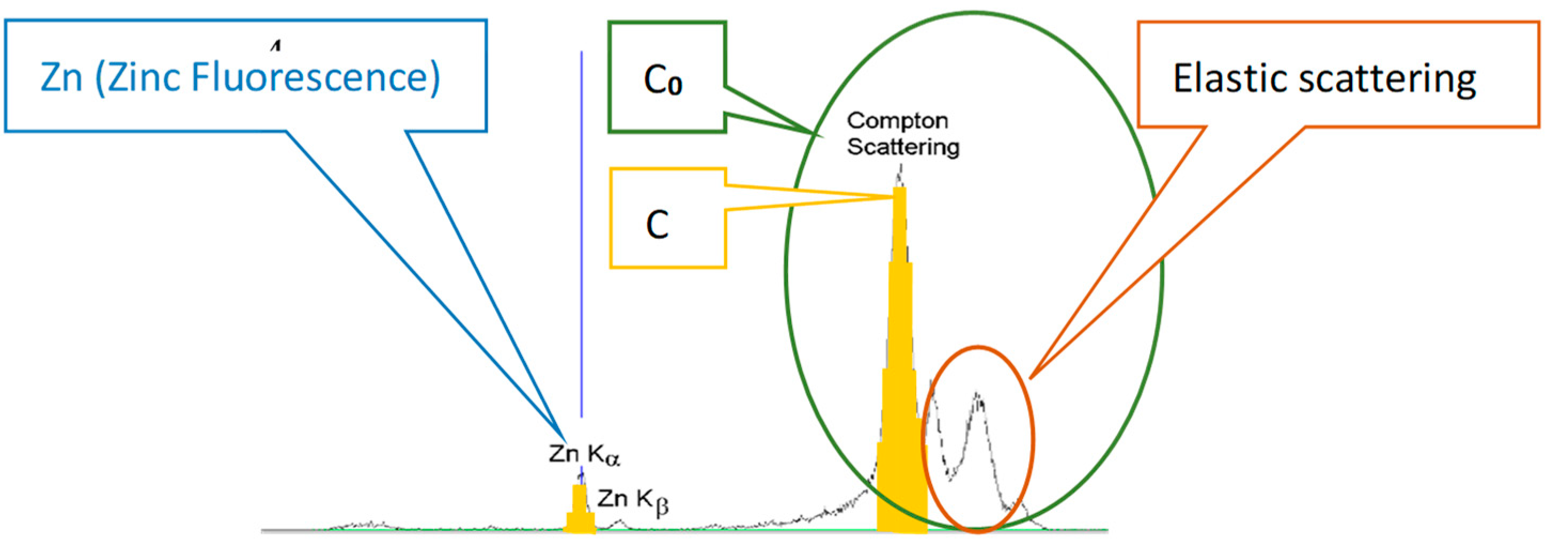 Diagnostics 13 00424 g001 Diagnostics 13 00424 g001