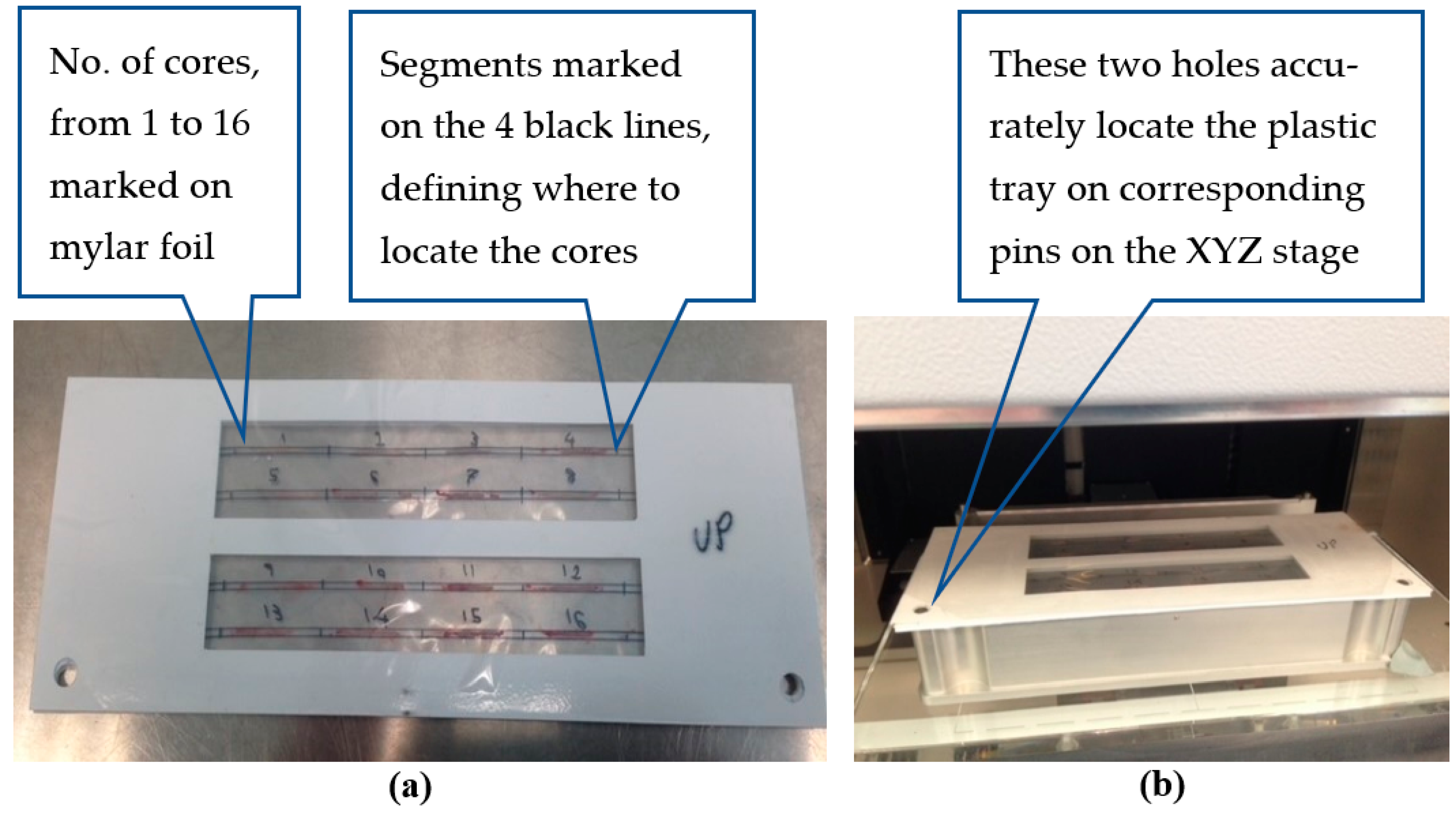 Diagnostics 13 00424 g002 Diagnostics 13 00424 g002