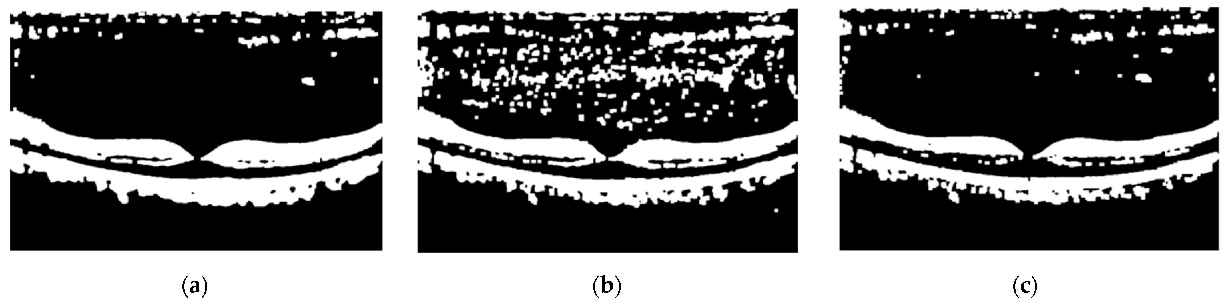 Diagnostics 13 00433 g009