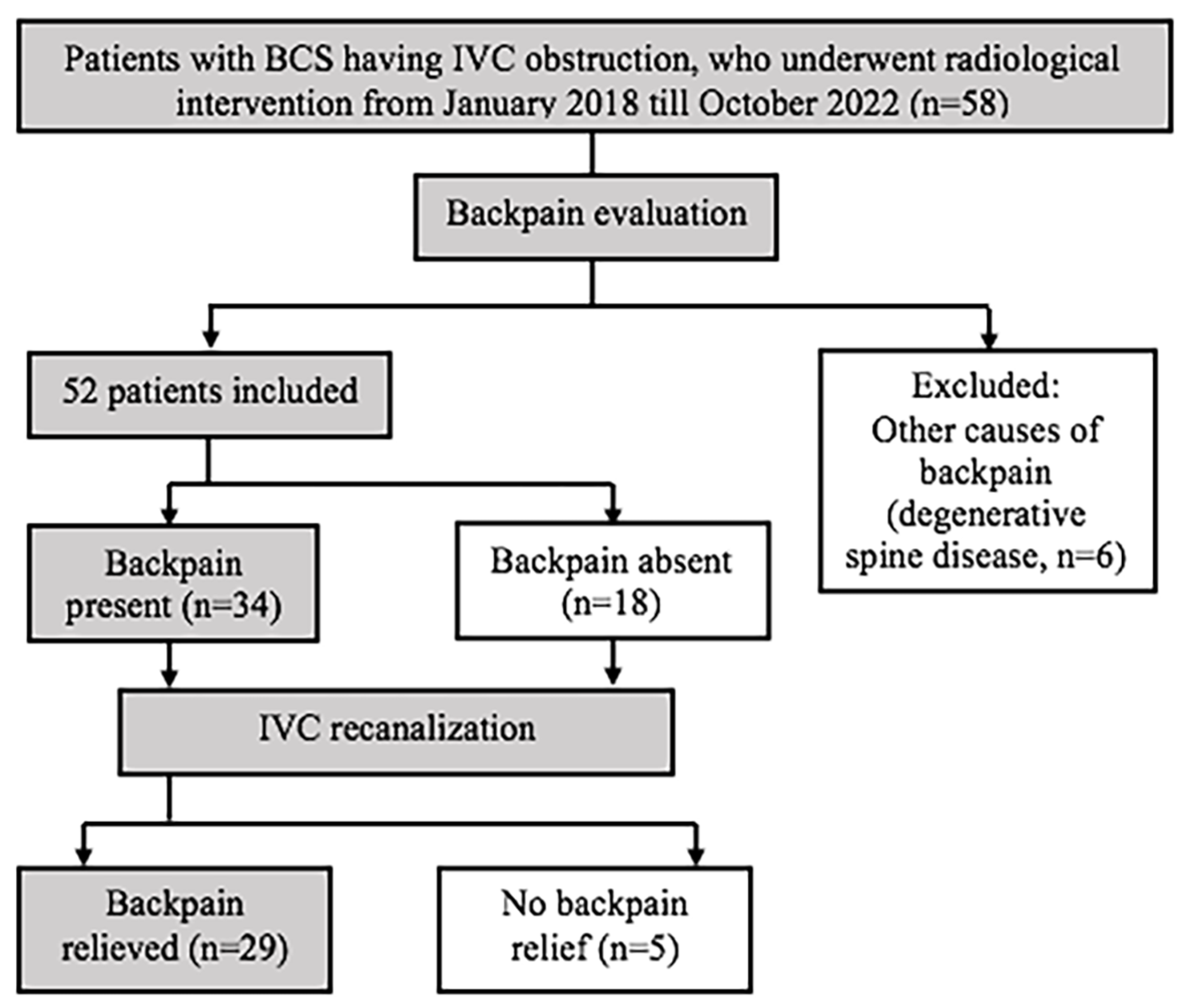 Diagnostics 13 00438 g002