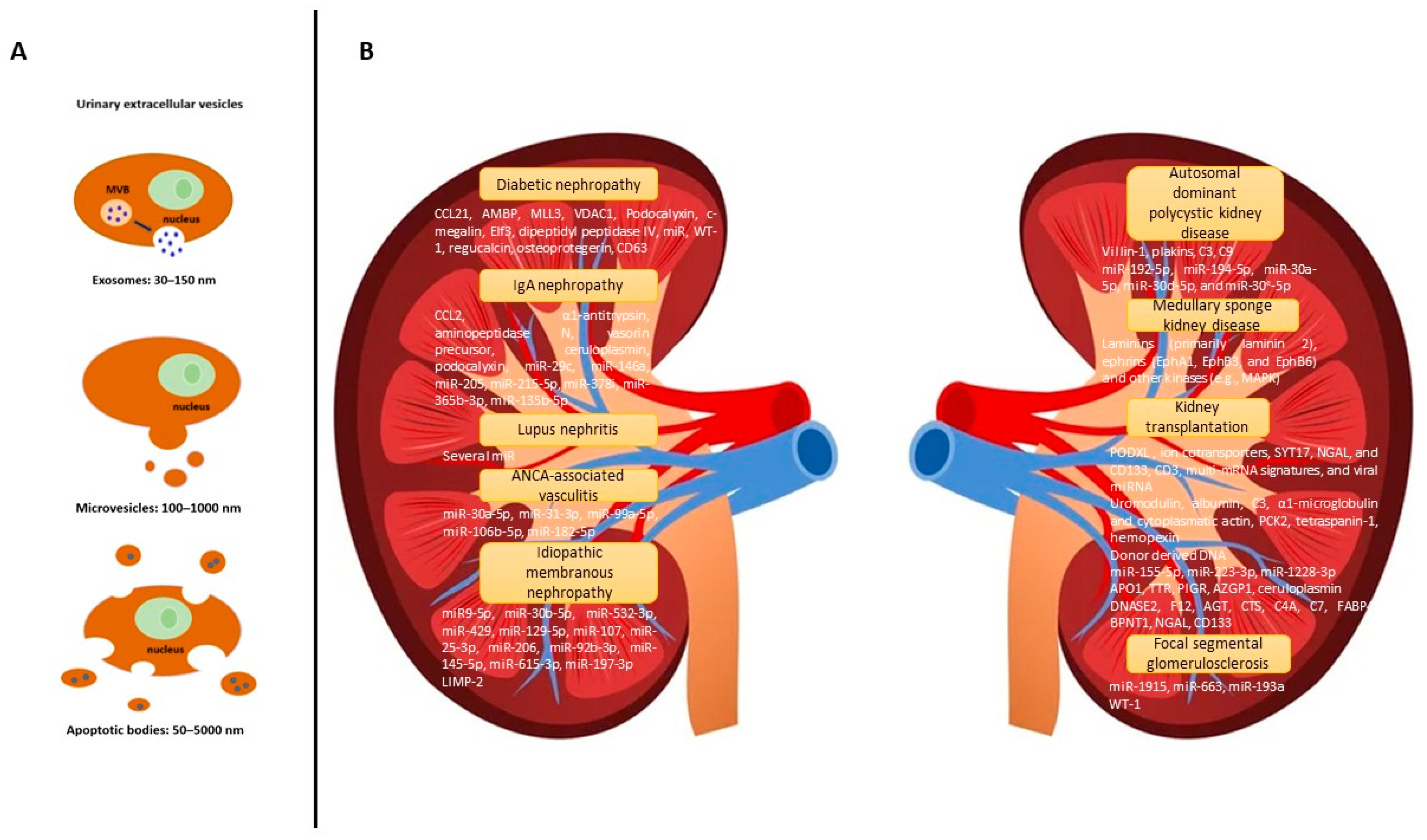Diagnostics 13 00443 g001