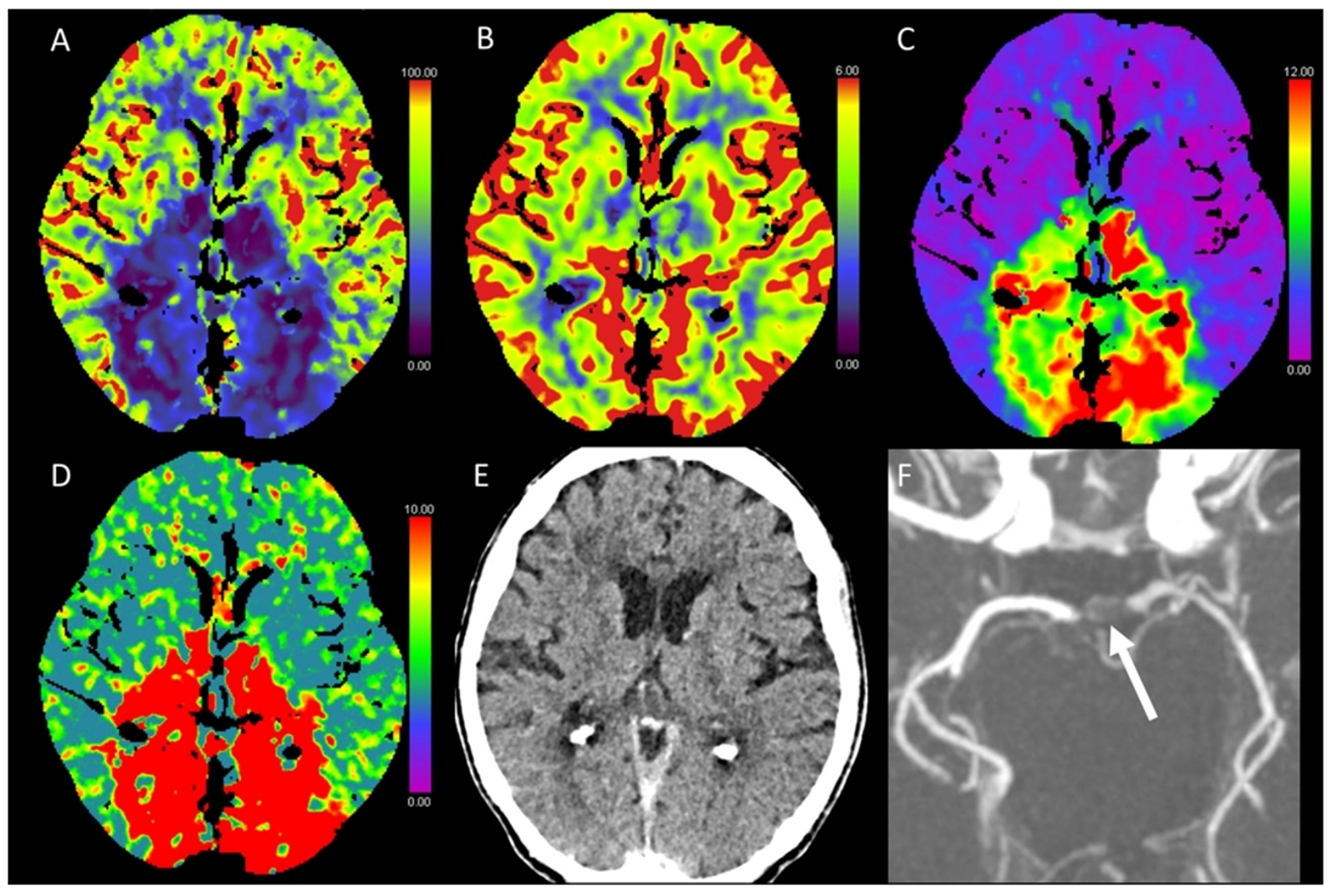 Diagnostics 13 00447 g003