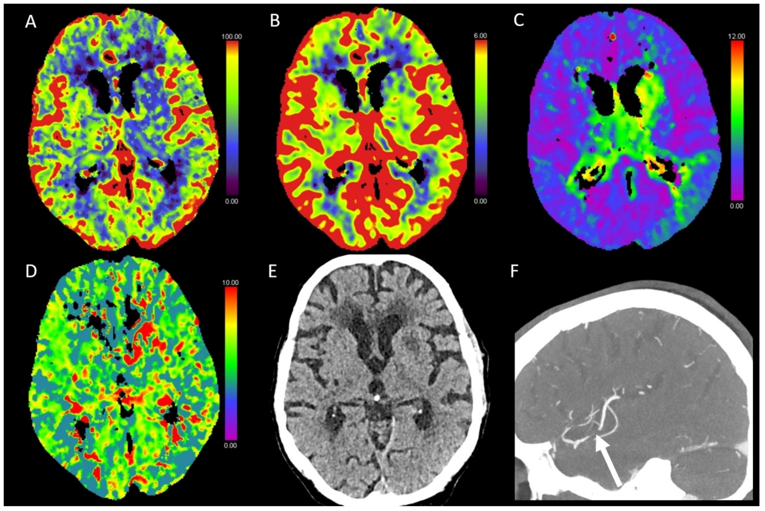 Diagnostics 13 00447 g004
