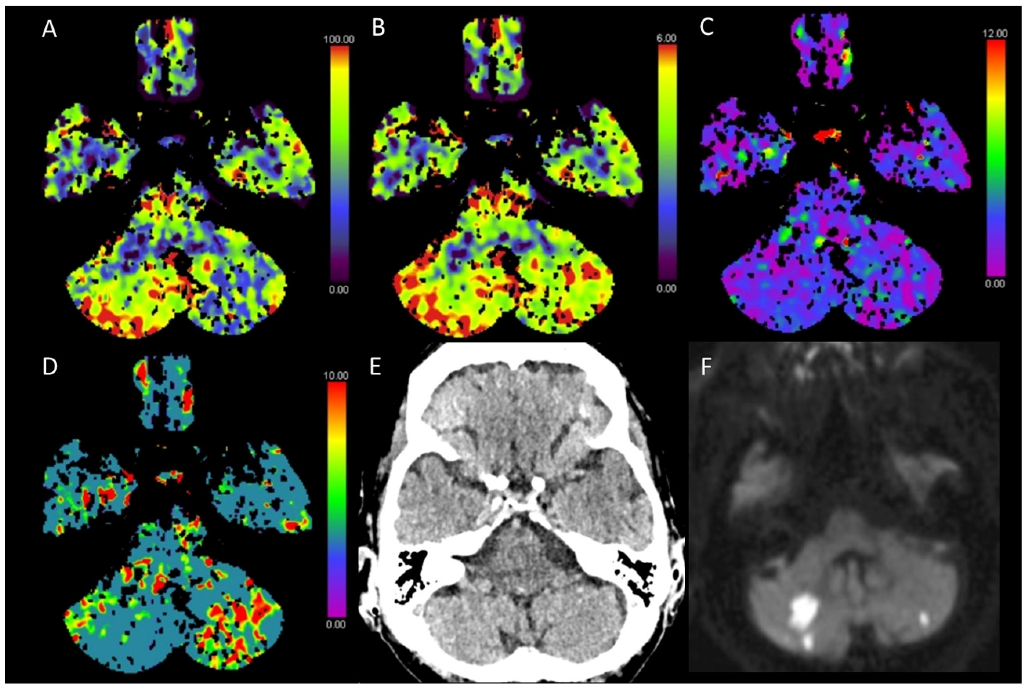 Diagnostics 13 00447 g006