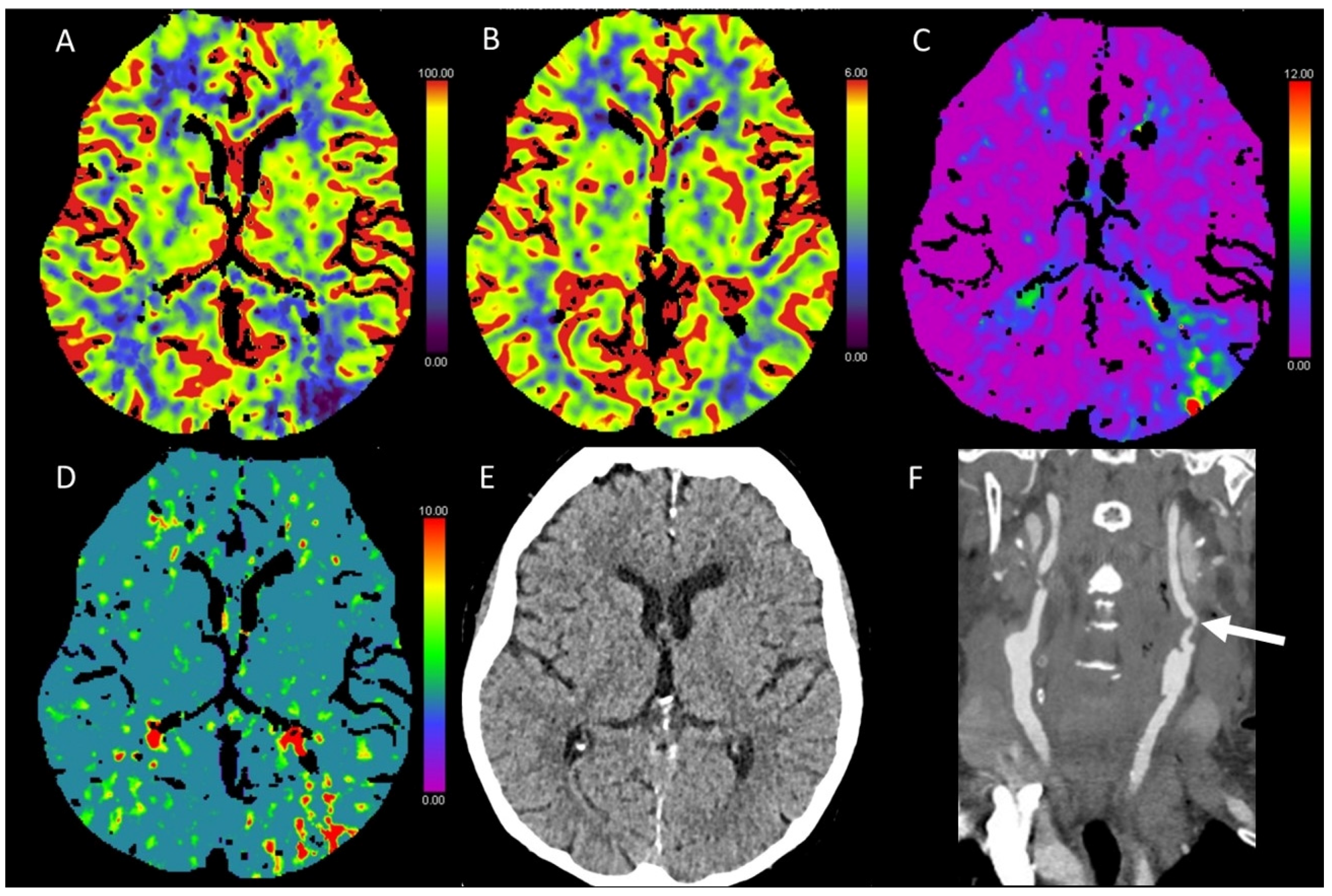 Diagnostics 13 00447 g010