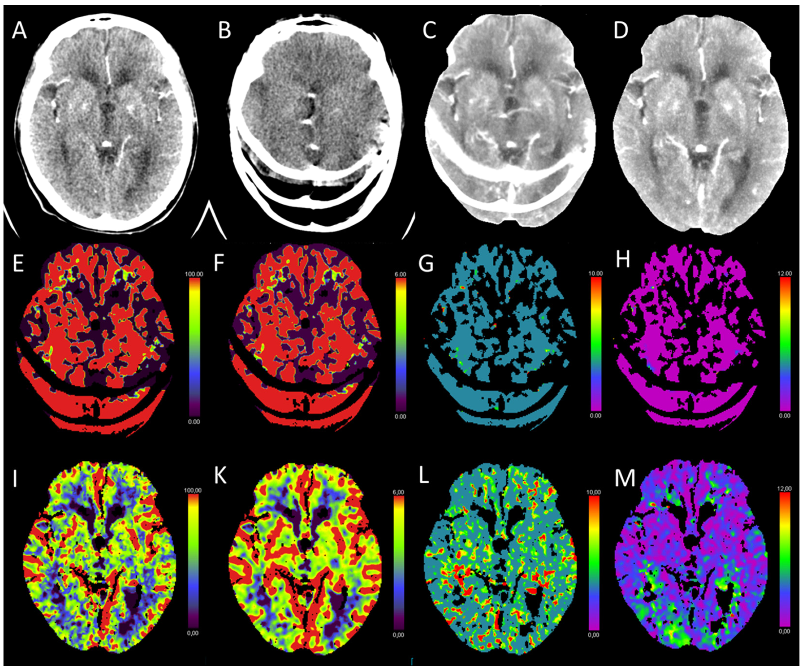 Diagnostics 13 00447 g013