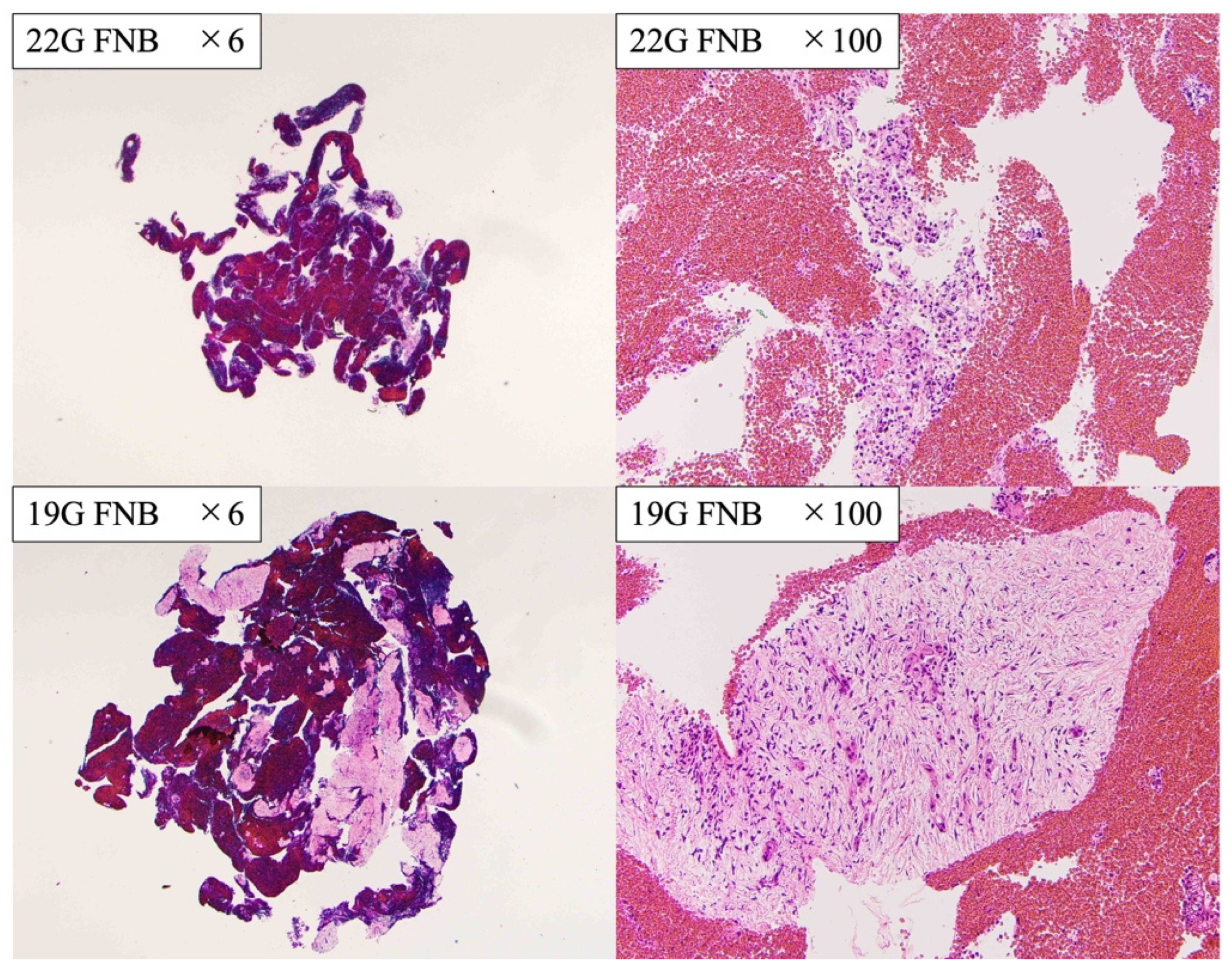 Diagnostics 13 00450 g004