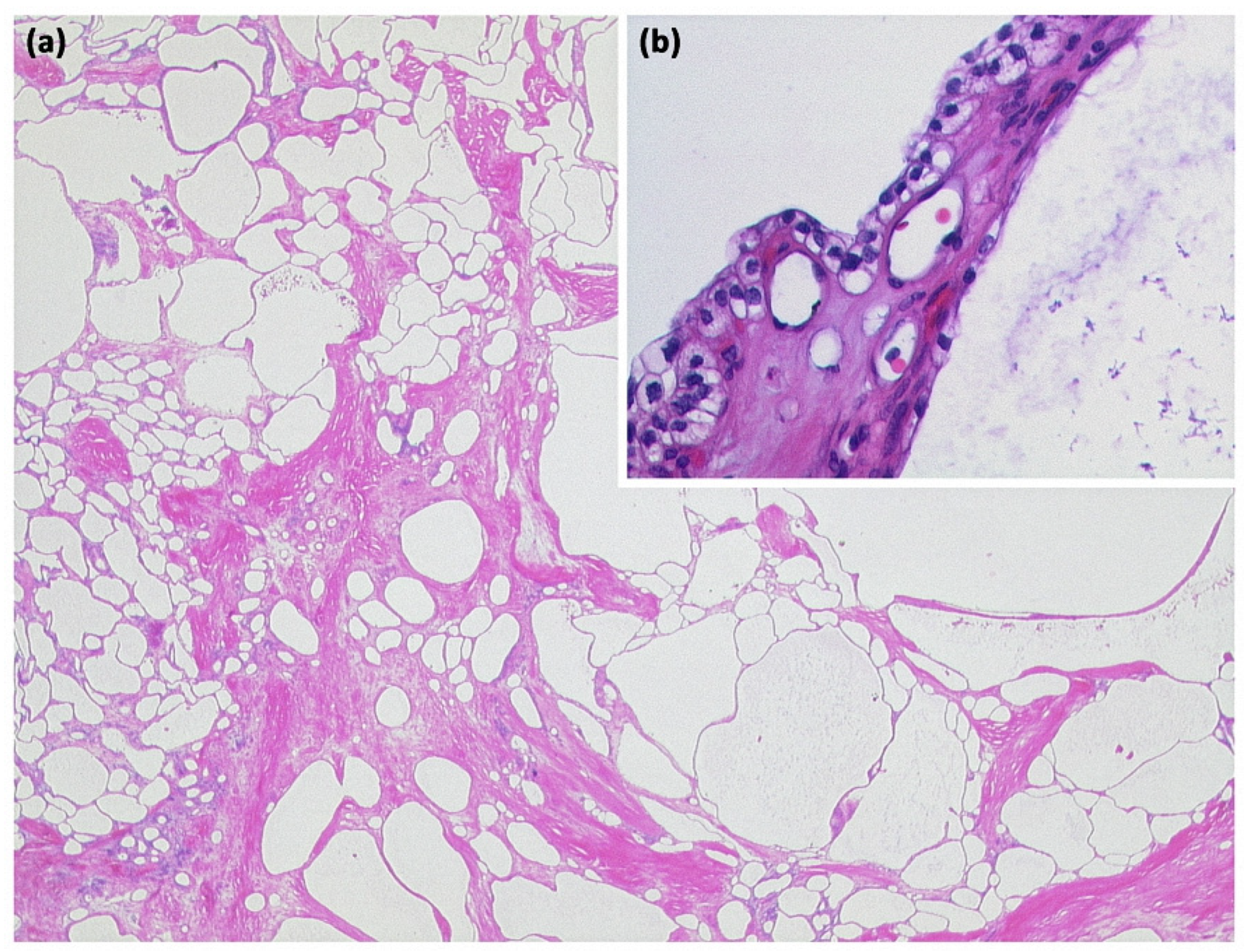 Diagnostics 13 00454 g008