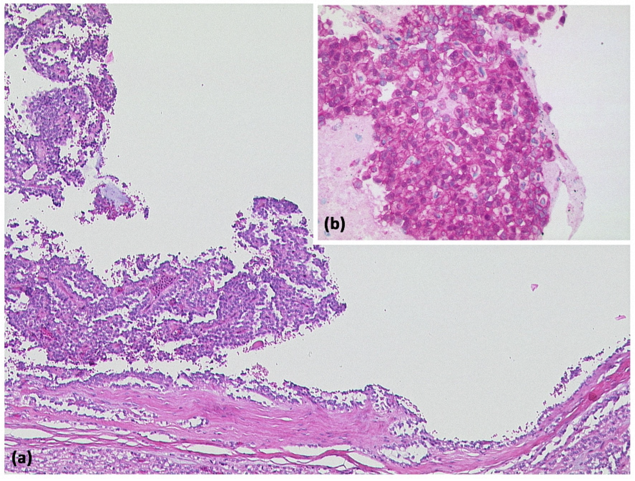 Diagnostics 13 00454 g010