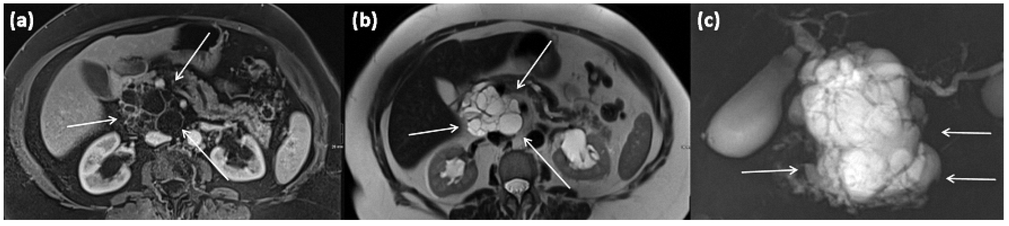 Diagnostics 13 00454 g019
