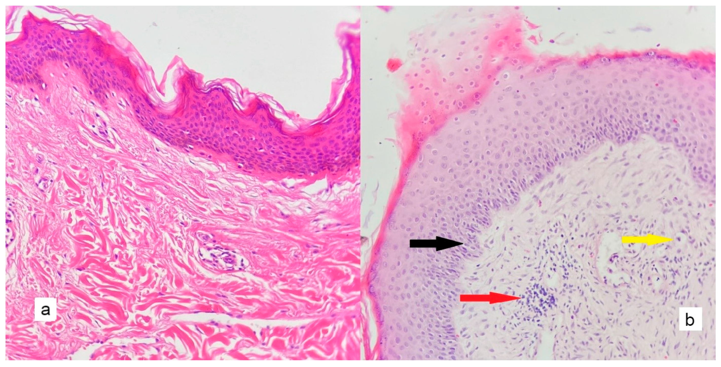 Diagnostics 13 00455 g002