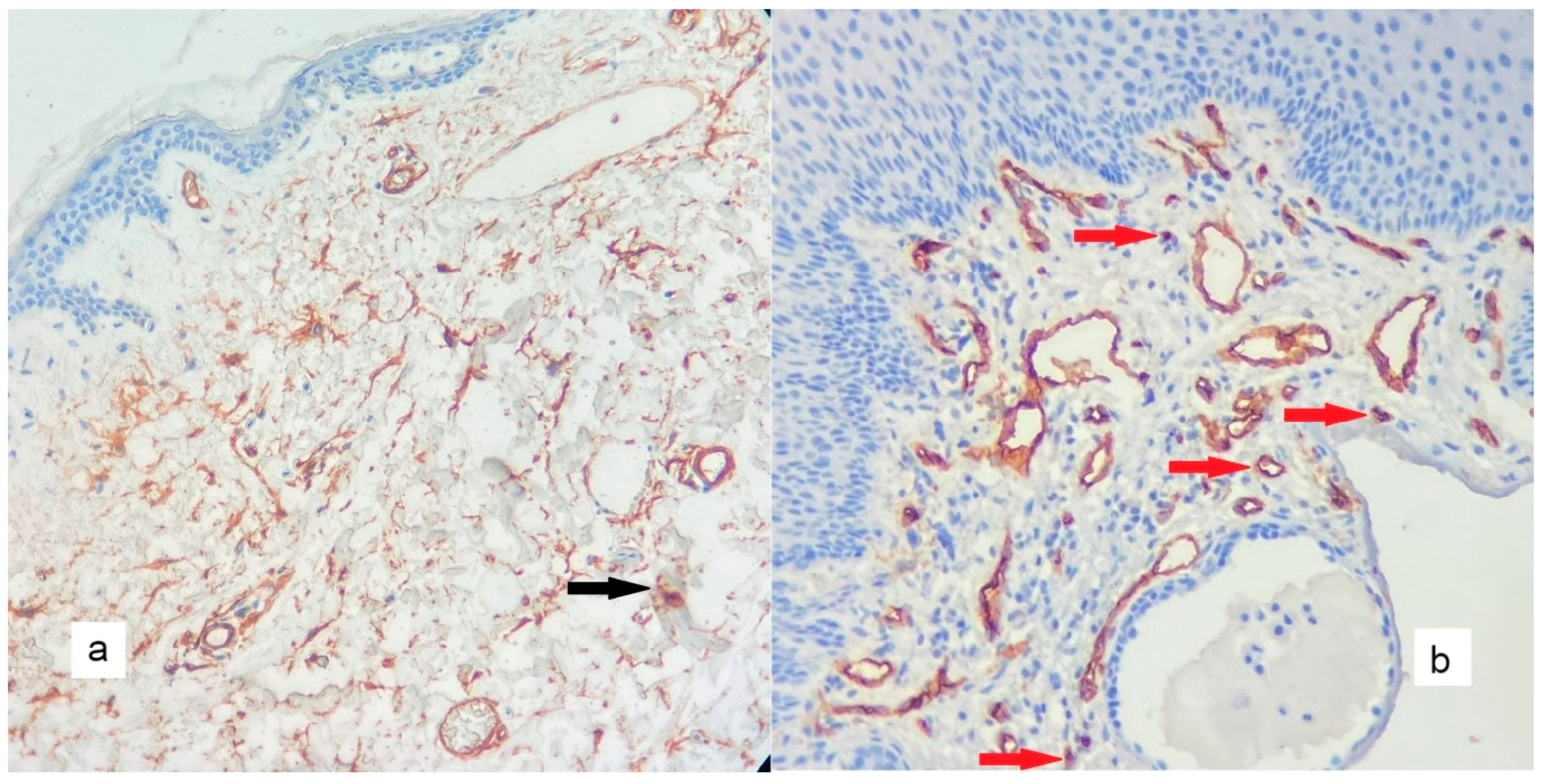 Diagnostics 13 00455 g005