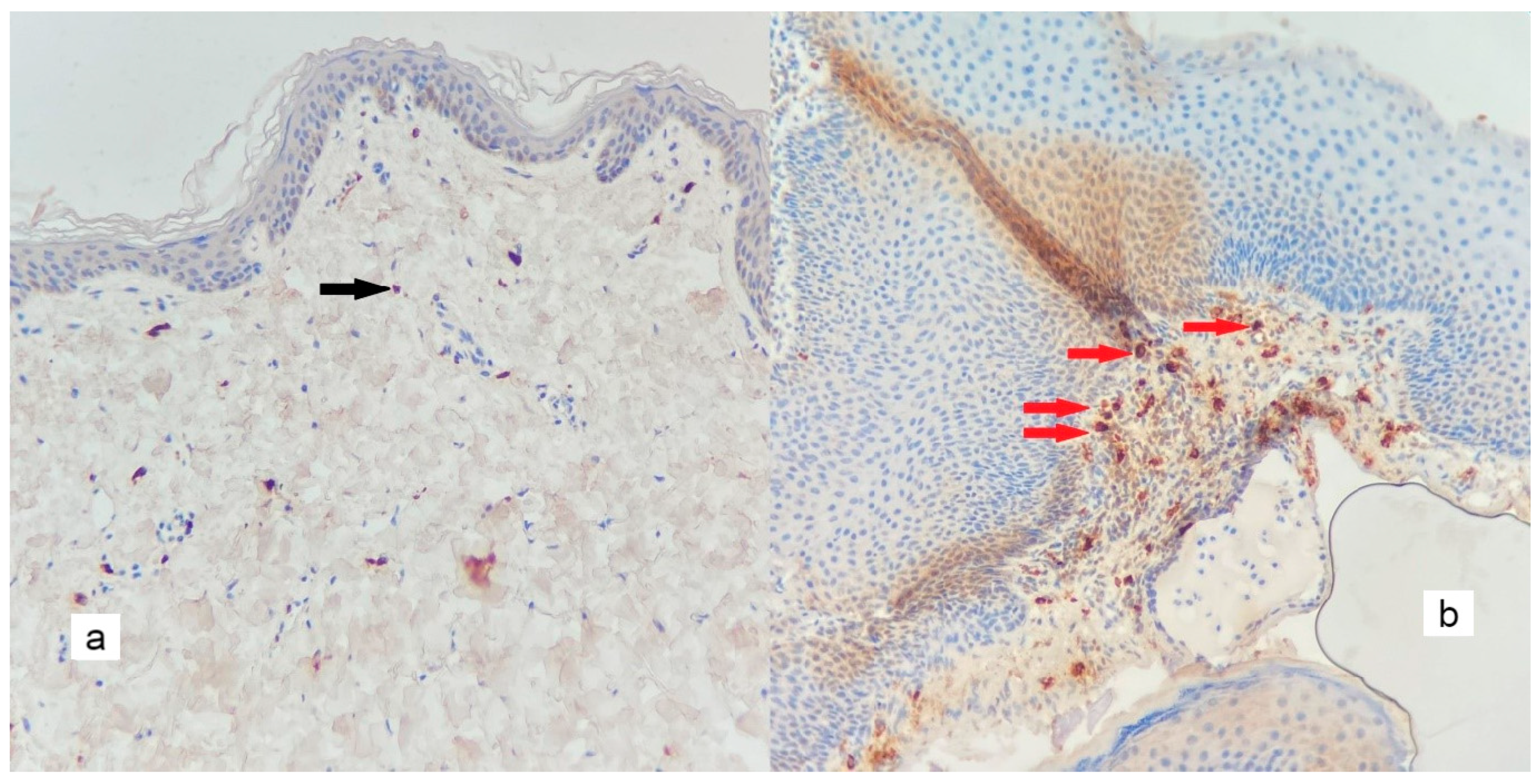 Diagnostics 13 00455 g006