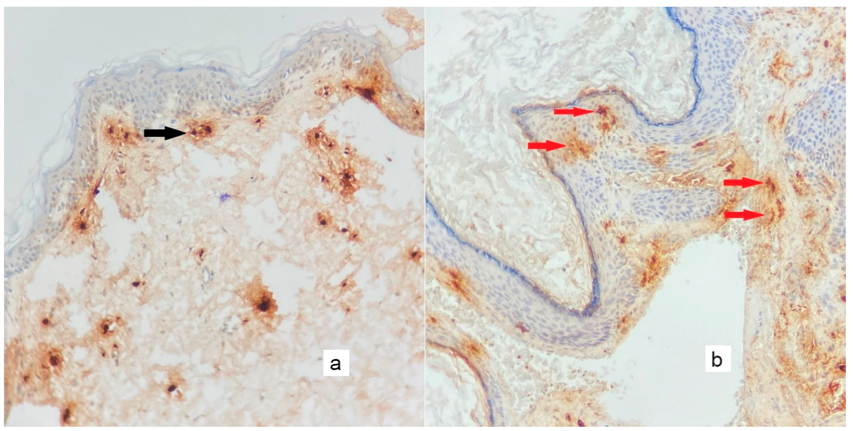 Diagnostics 13 00455 g007