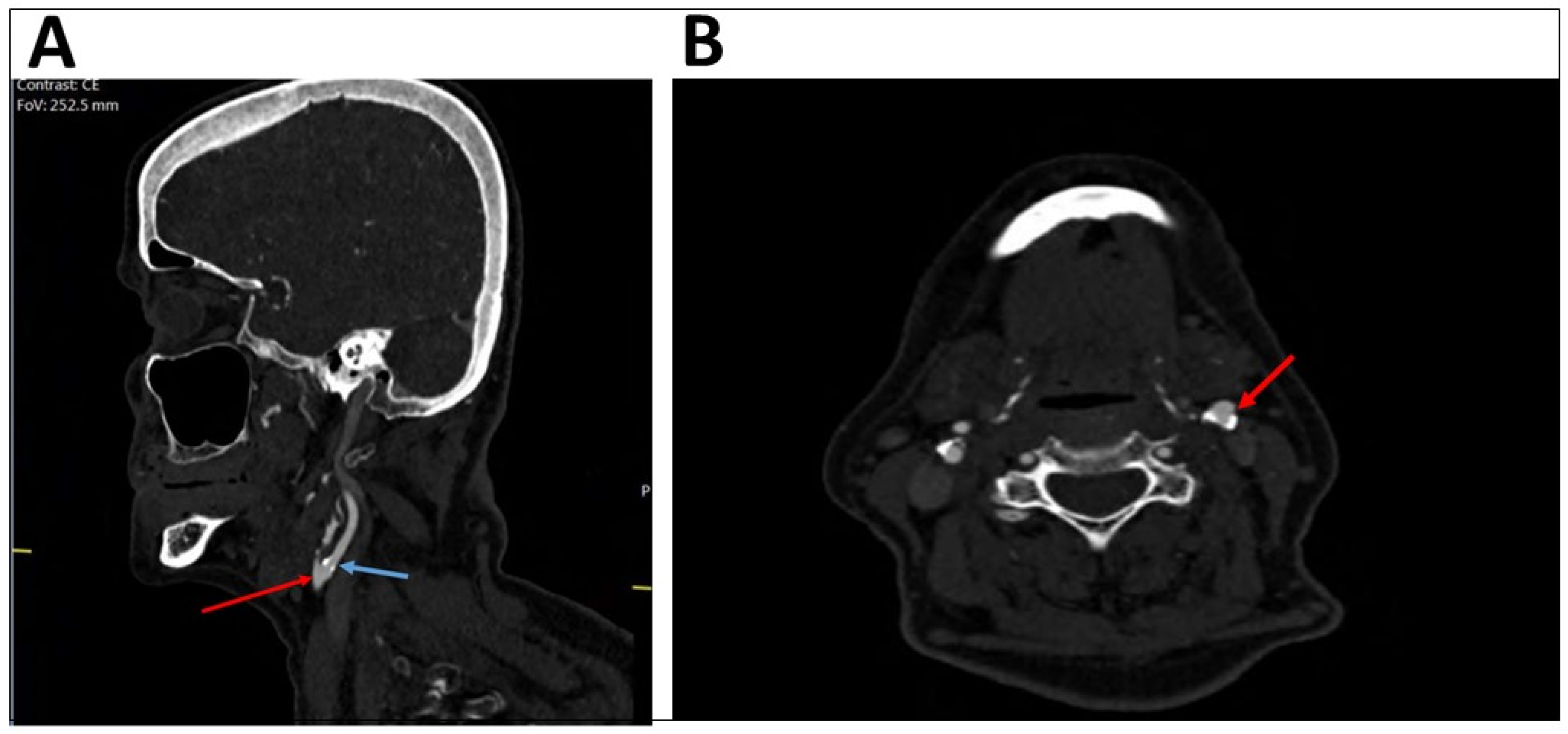 Diagnostics 13 00459 g002