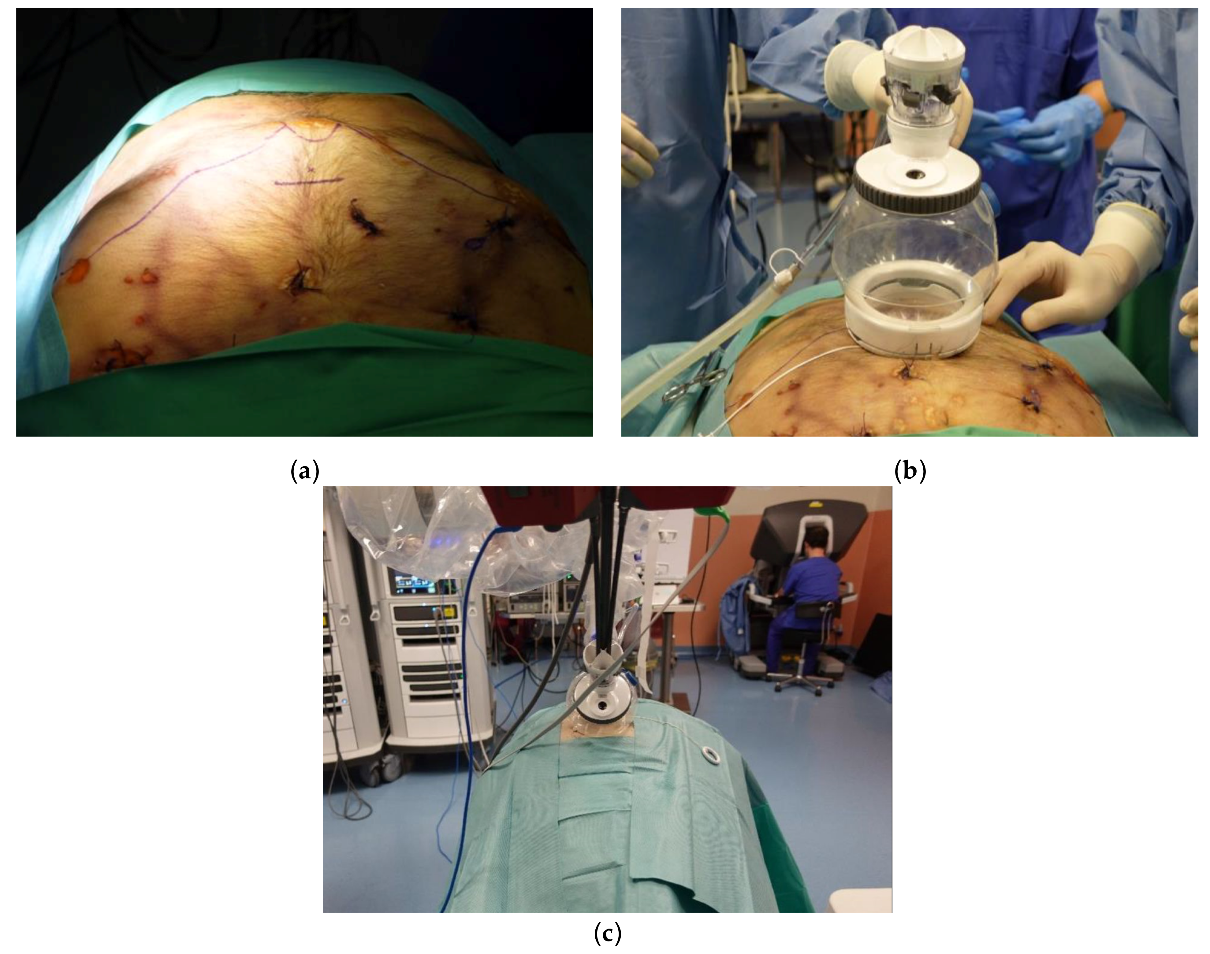 Diagnostics 13 00460 g001