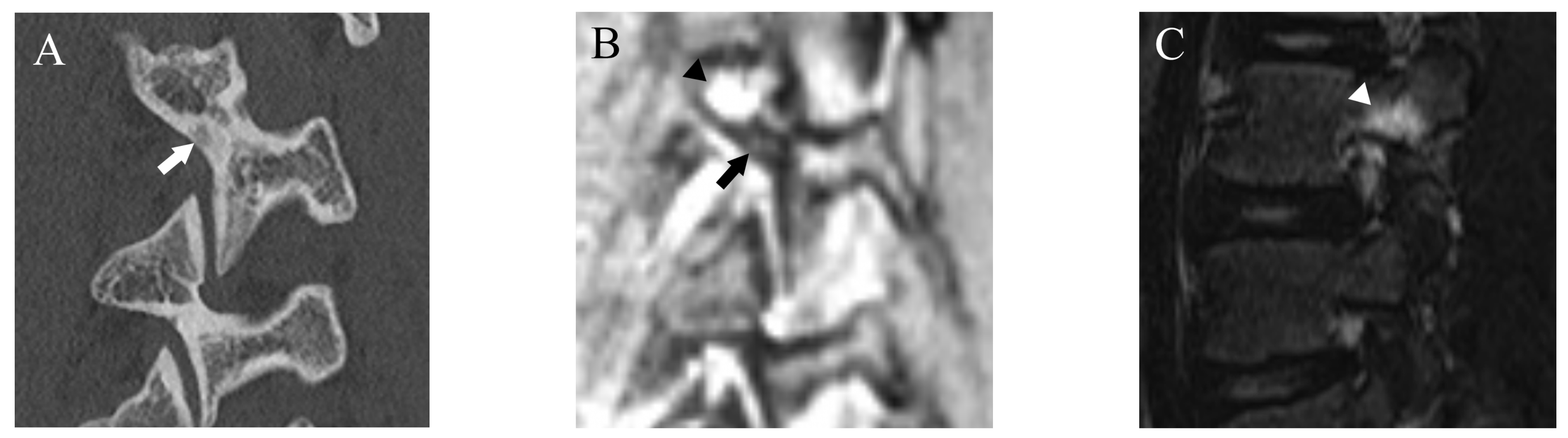 Diagnostics 13 00461 g001 Diagnostics 13 00461 g001