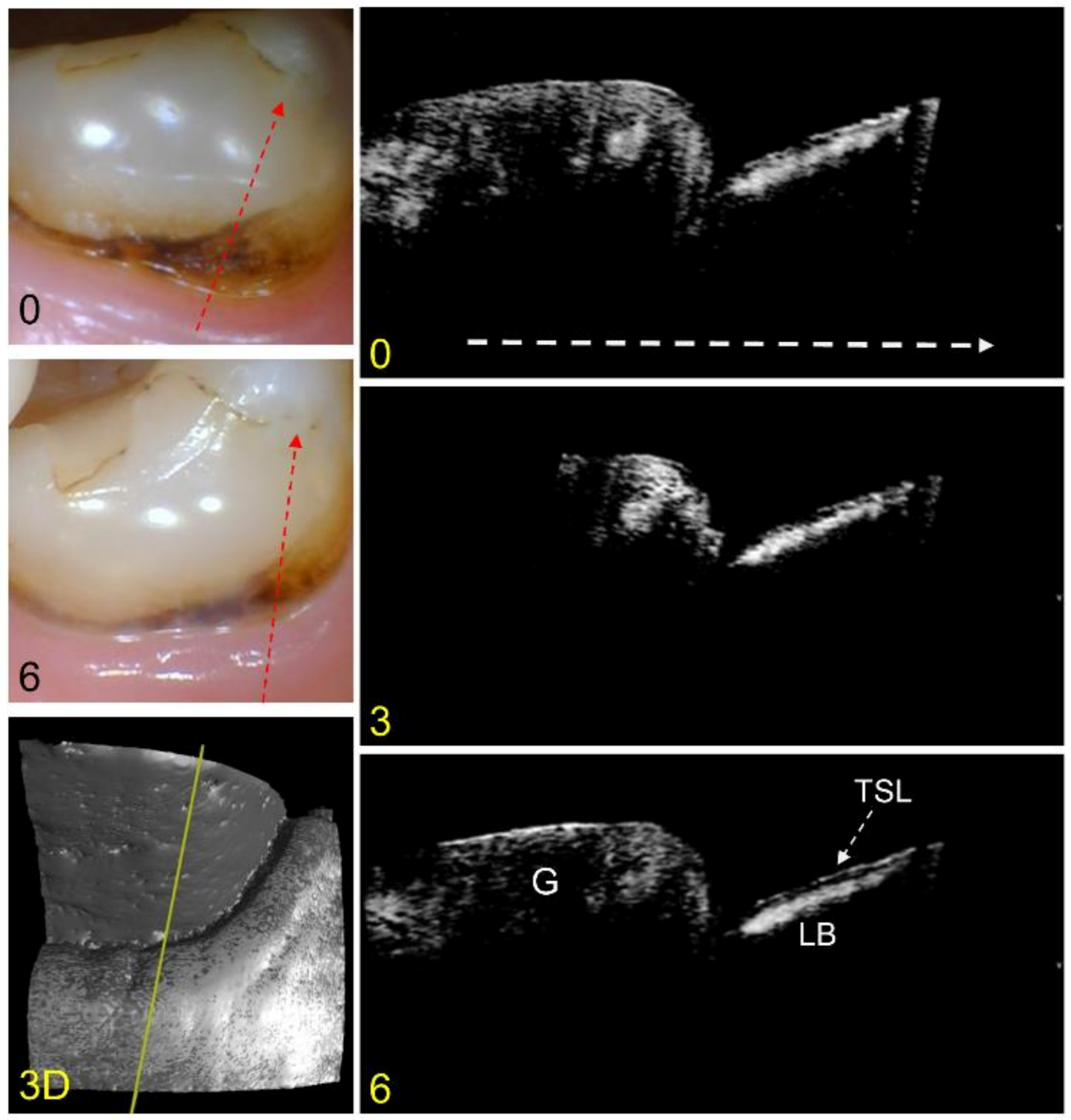 Diagnostics 13 00465 g002