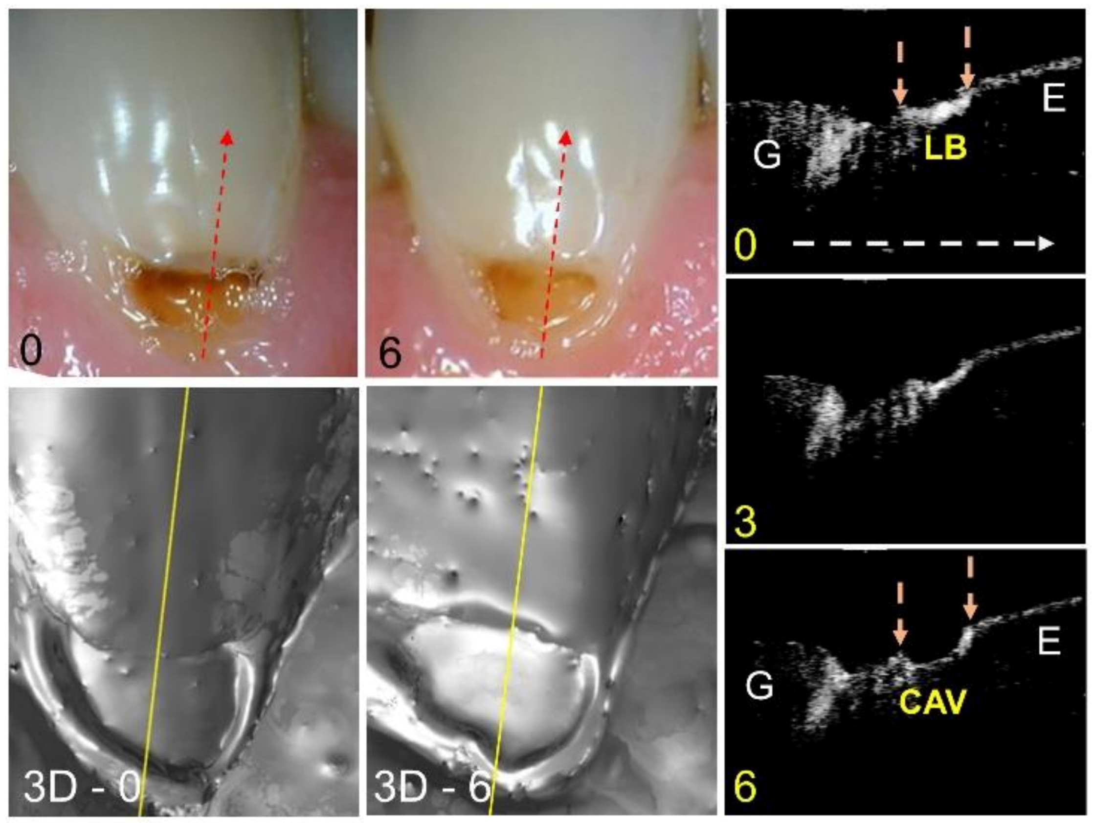 Diagnostics 13 00465 g003