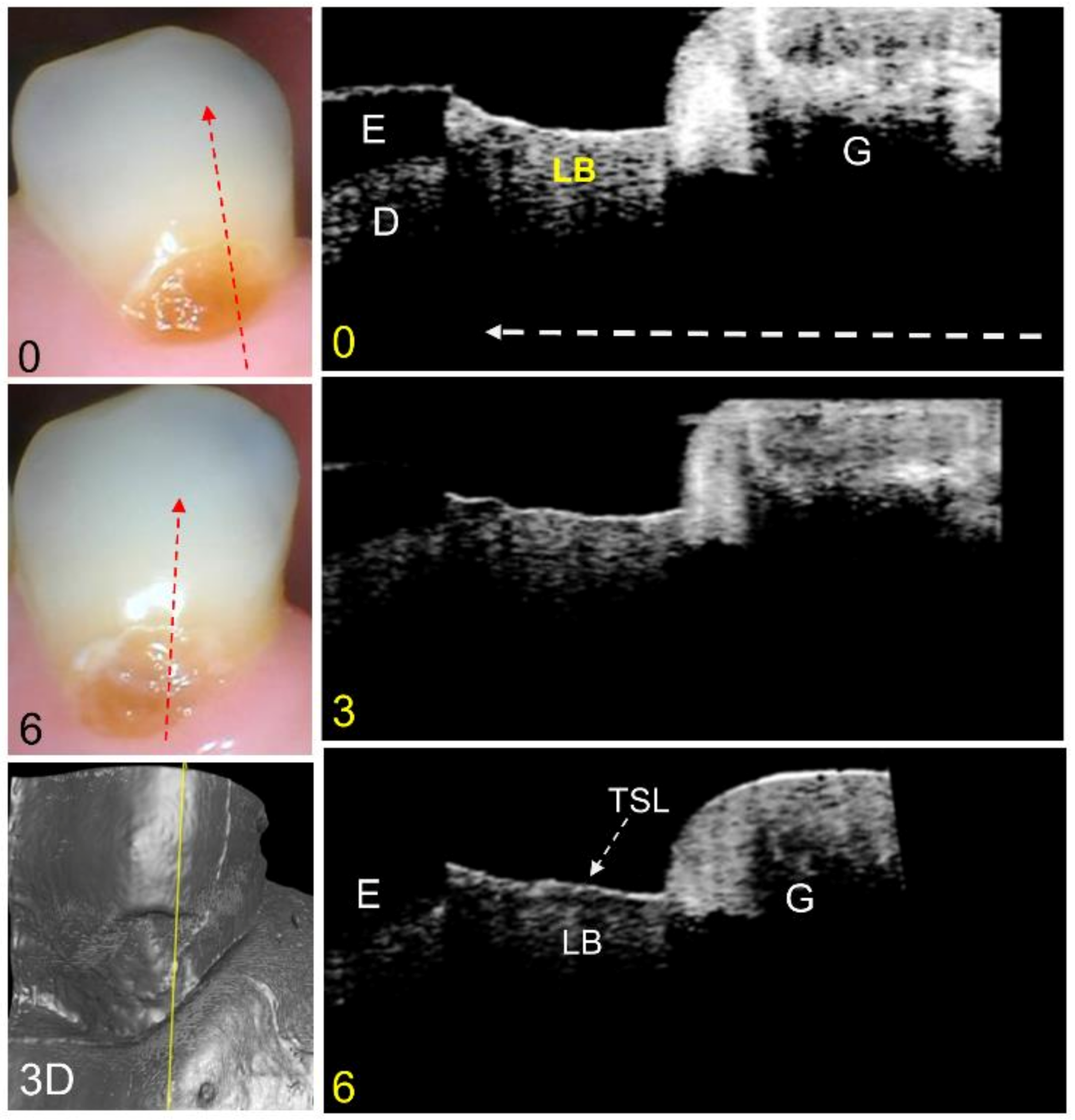 Diagnostics 13 00465 g004