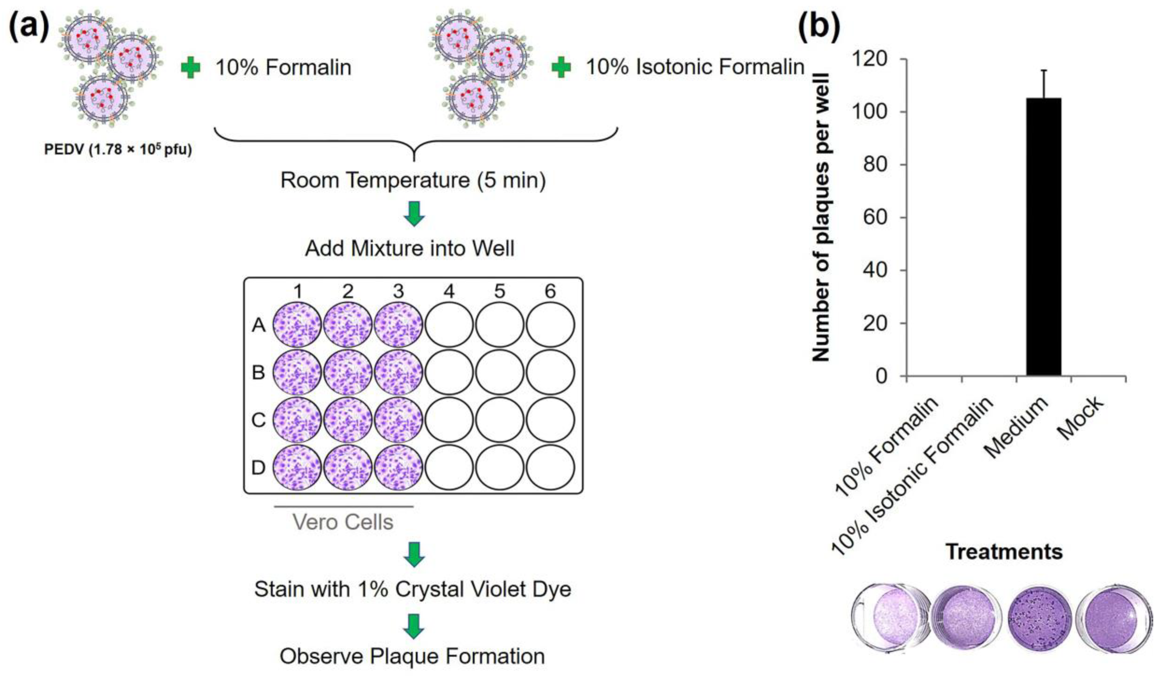 Diagnostics 13 00466 g001
