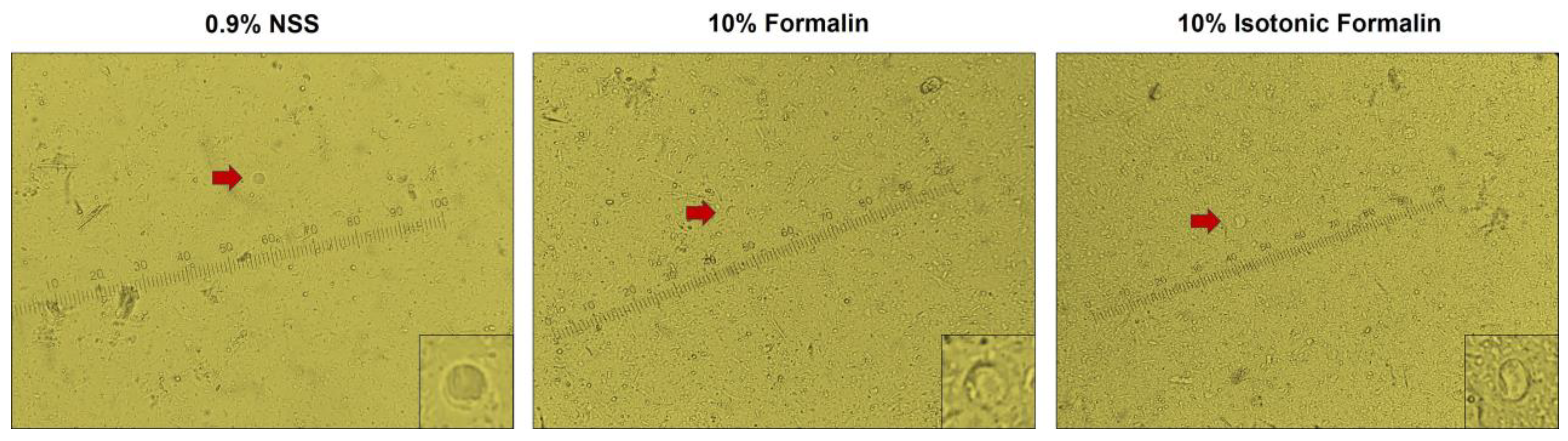 Diagnostics 13 00466 g003