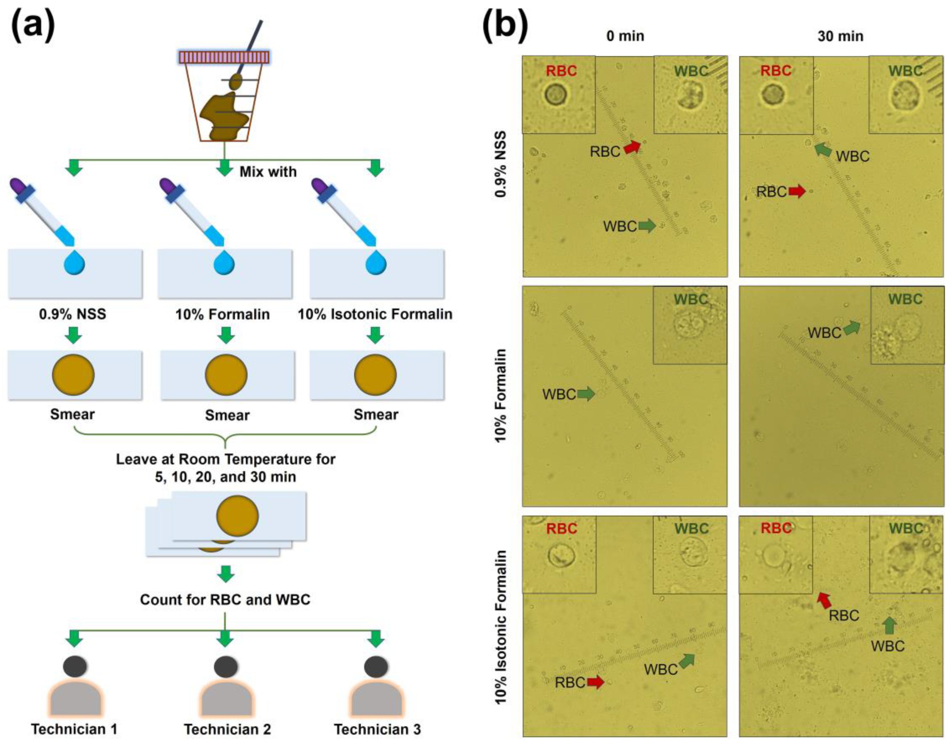 Diagnostics 13 00466 g004