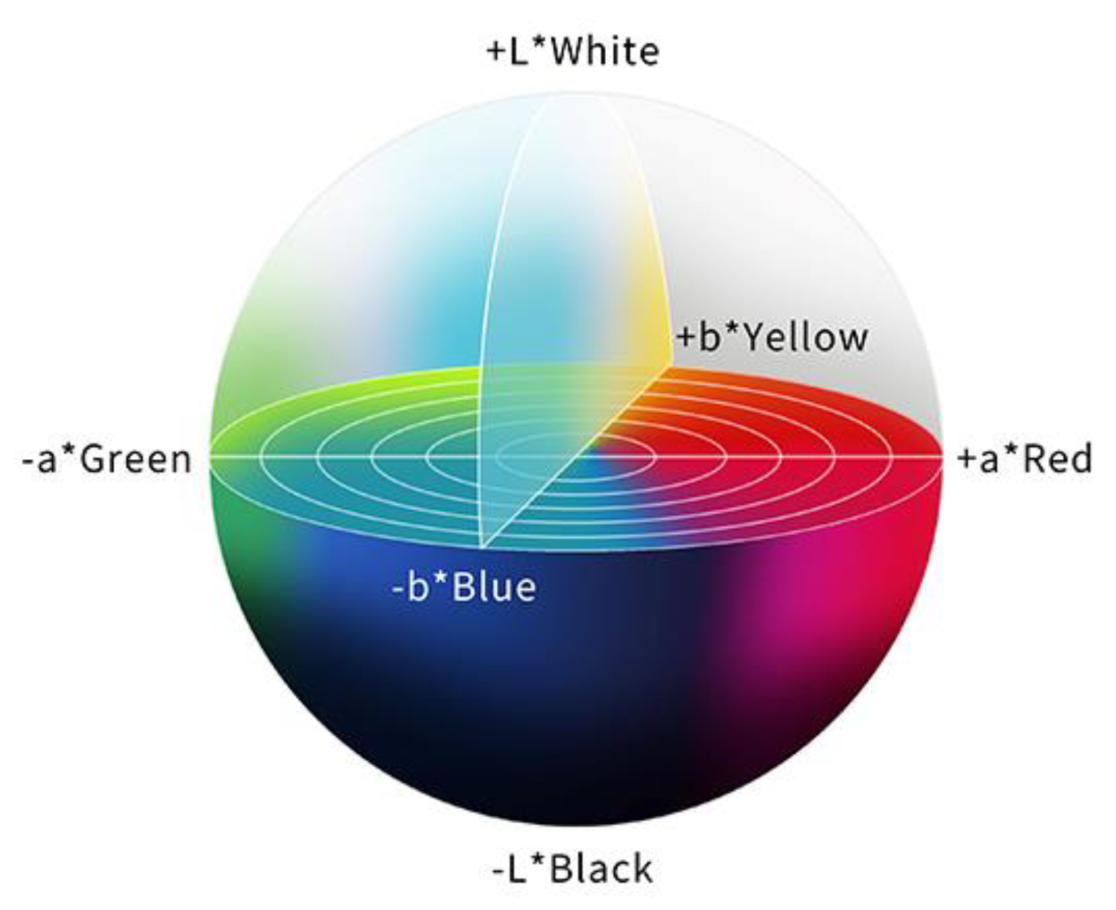 Diagnostics 13 00467 g003 Diagnostics 13 00467 g003