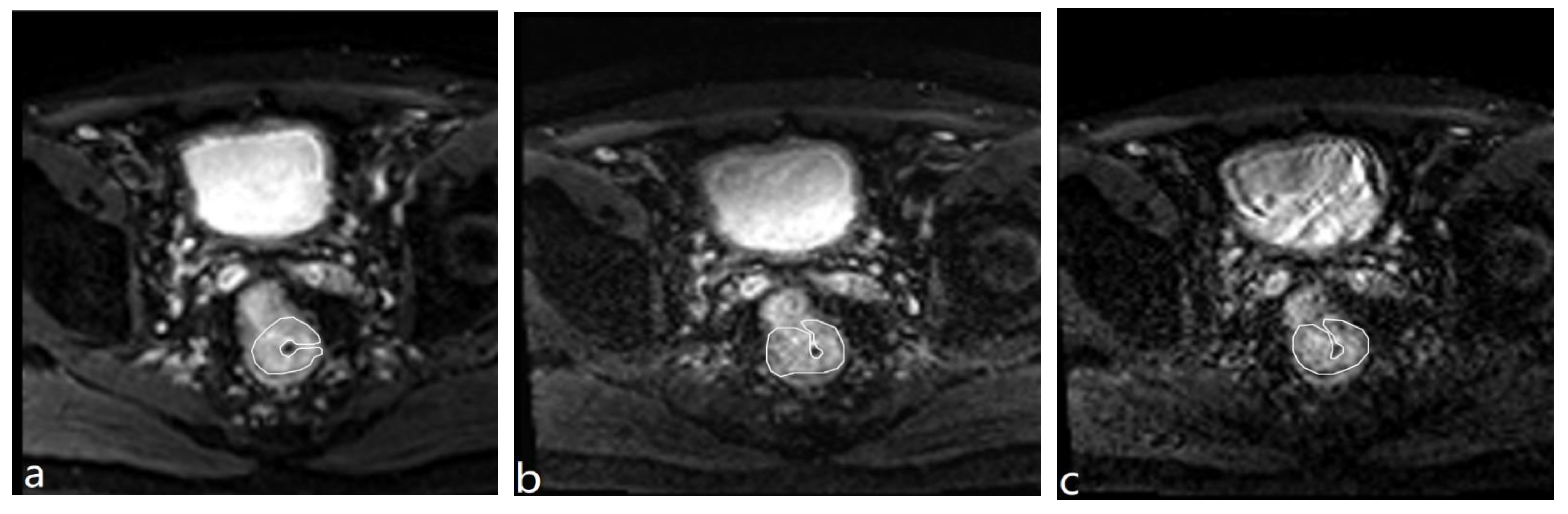Diagnostics 13 00474 g001 Diagnostics 13 00474 g001
