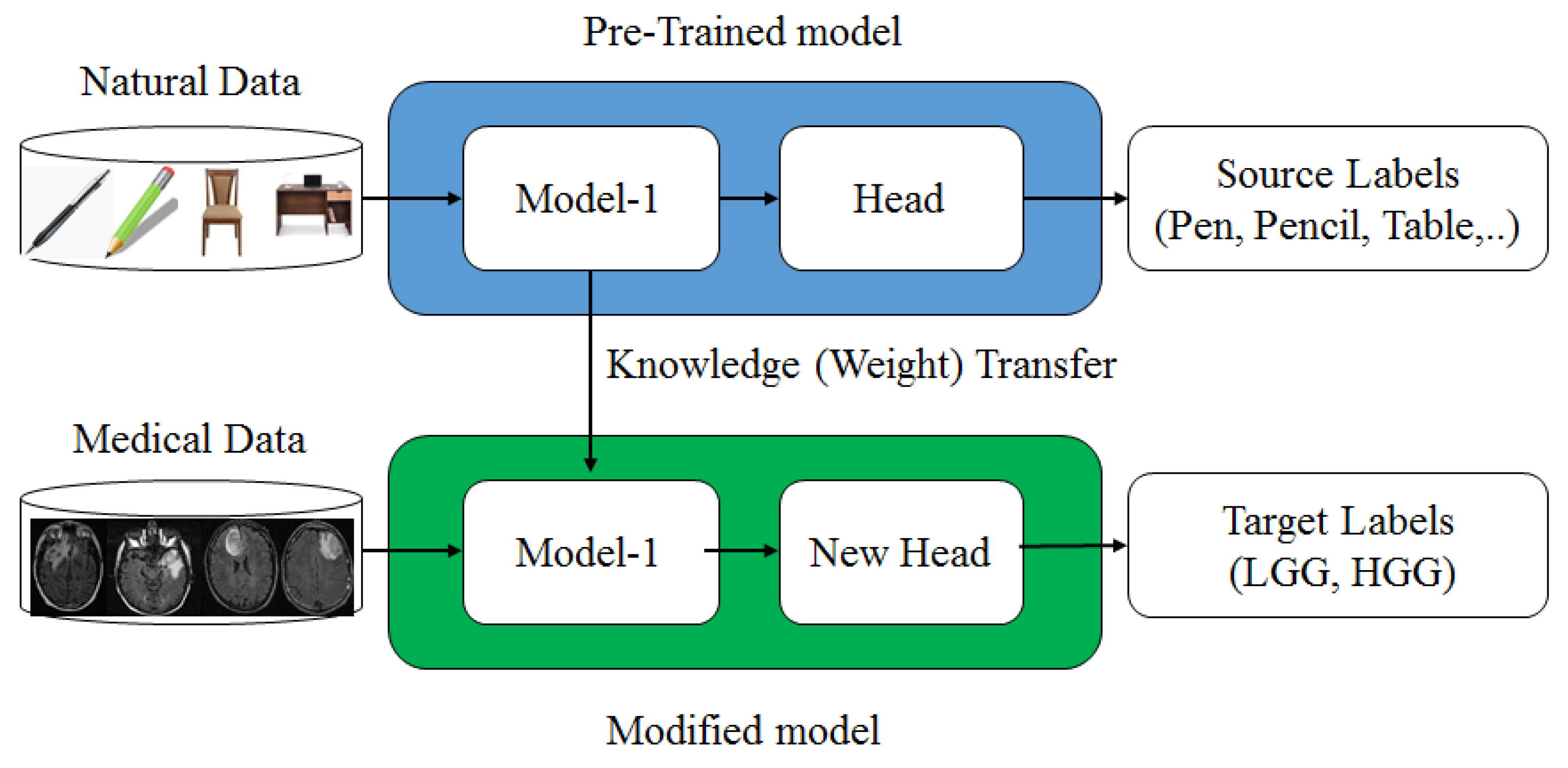 Diagnostics 13 00481 g005