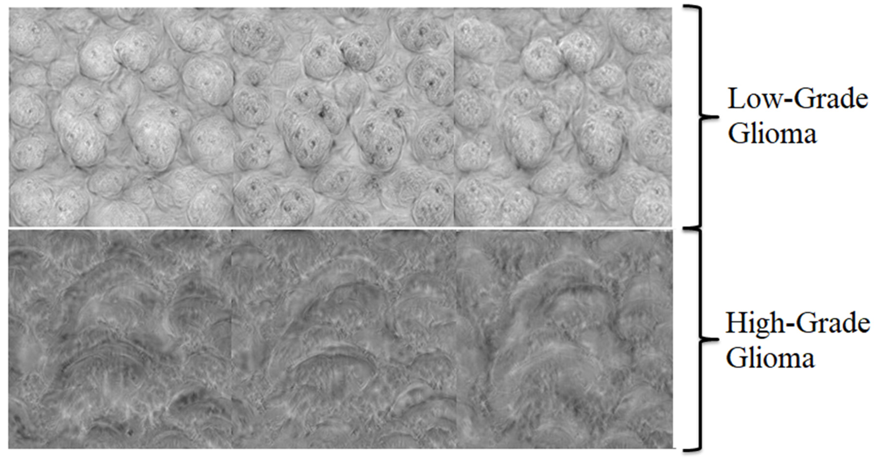 Diagnostics 13 00481 g0a4