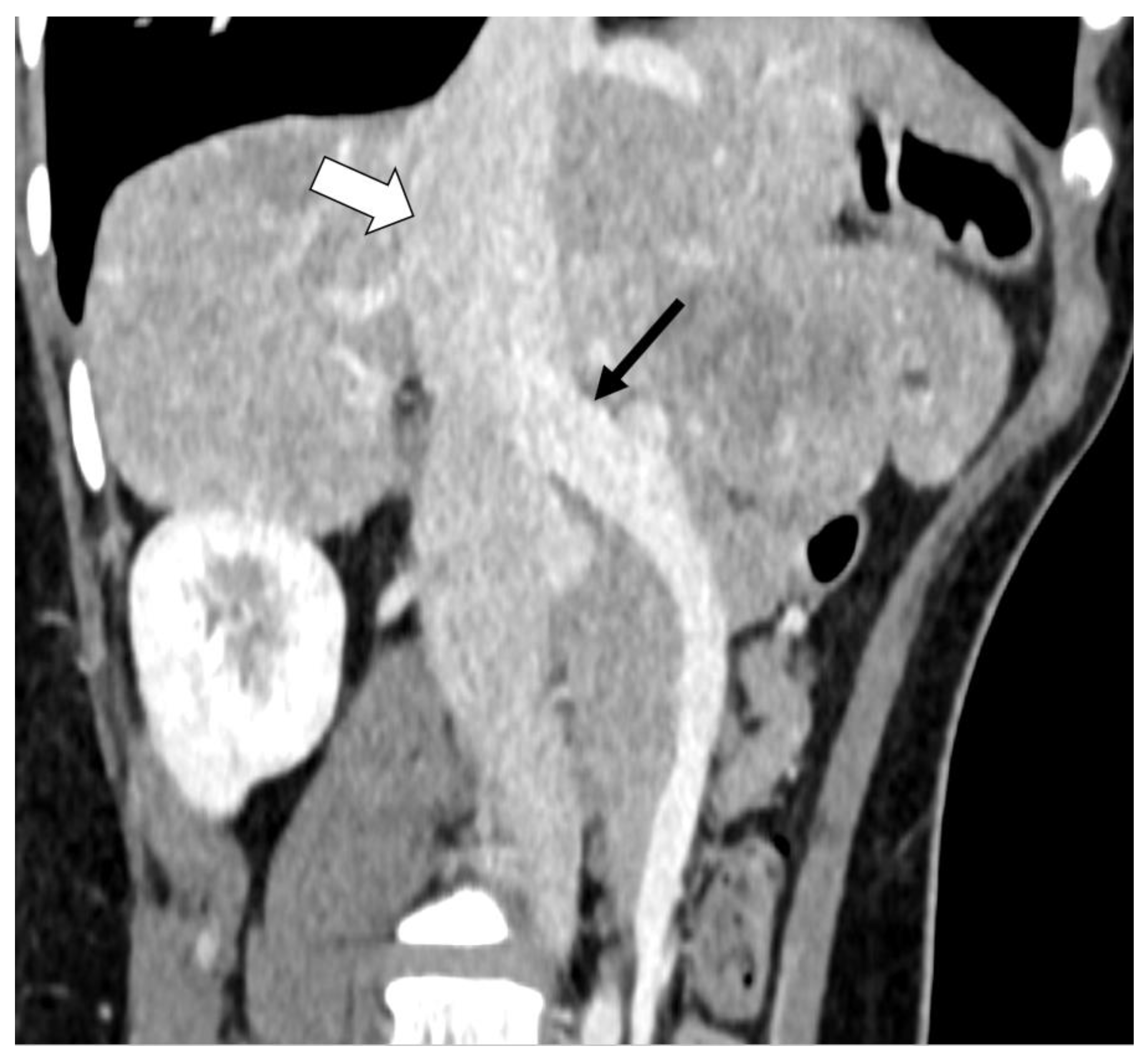Diagnostics 13 00482 g002