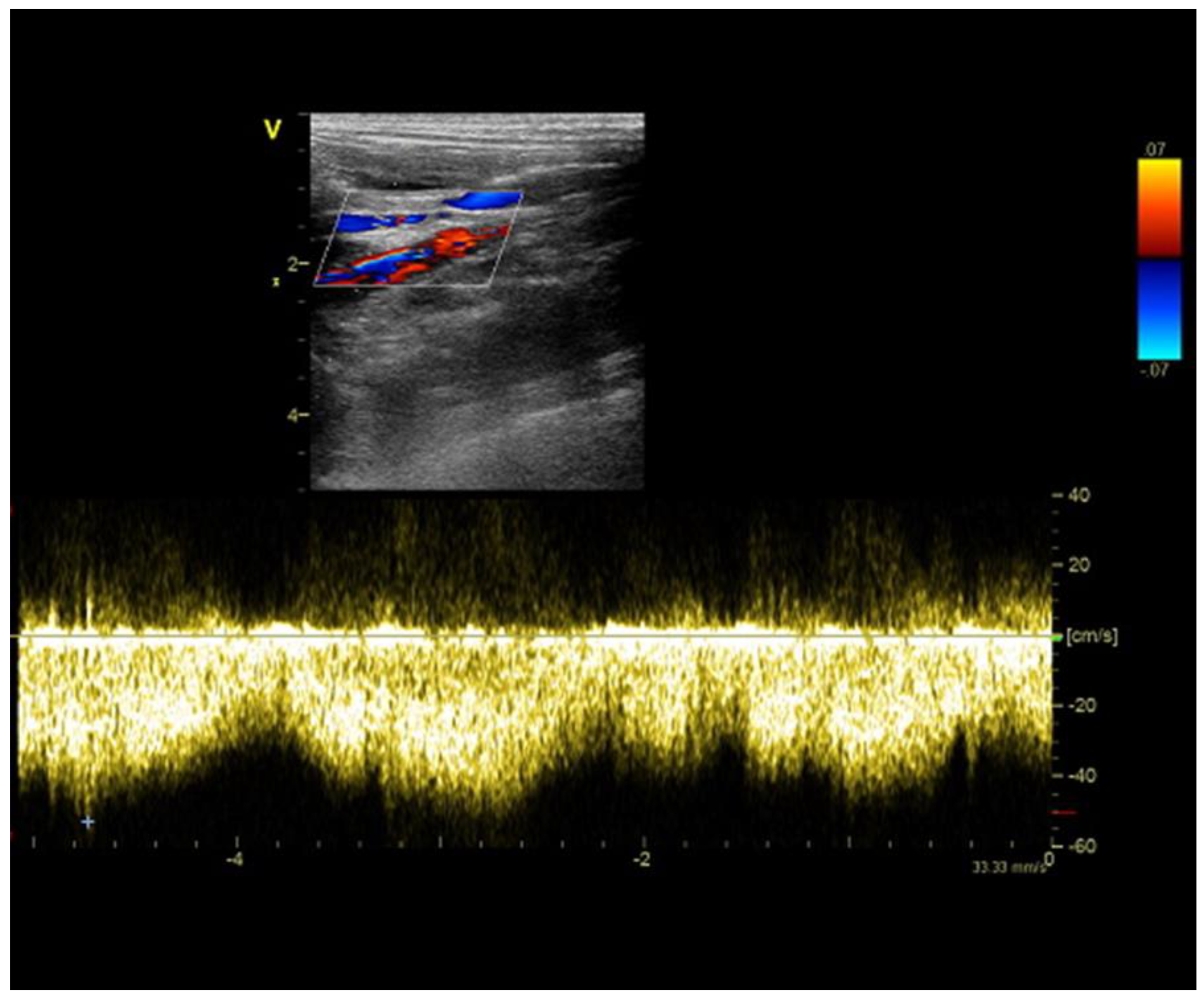 Diagnostics 13 00482 g003