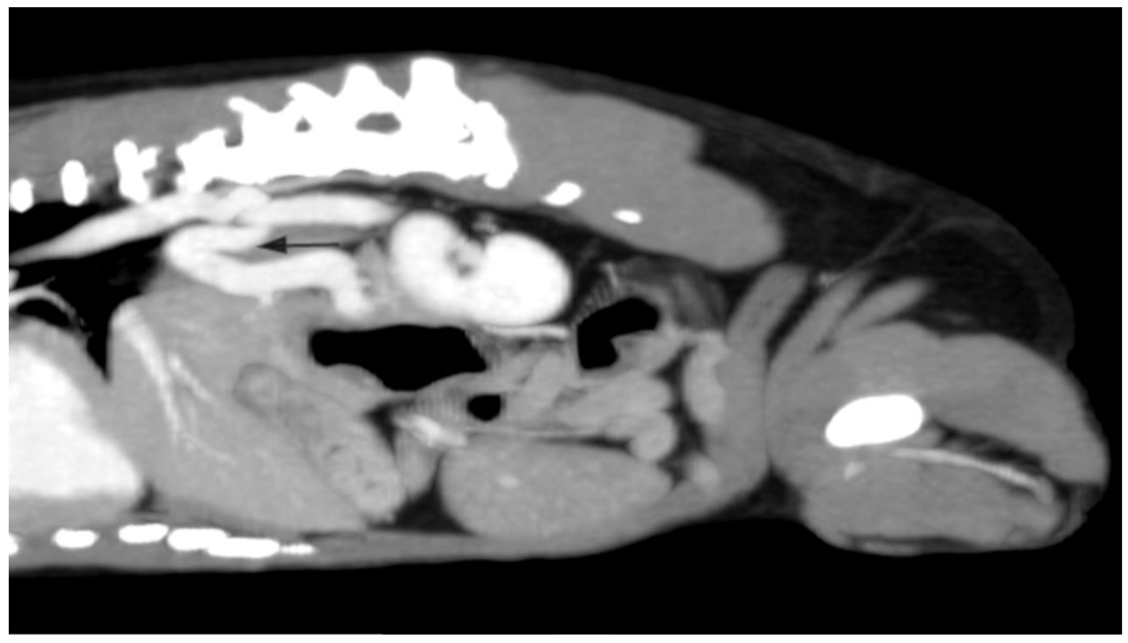 Diagnostics 13 00482 g004