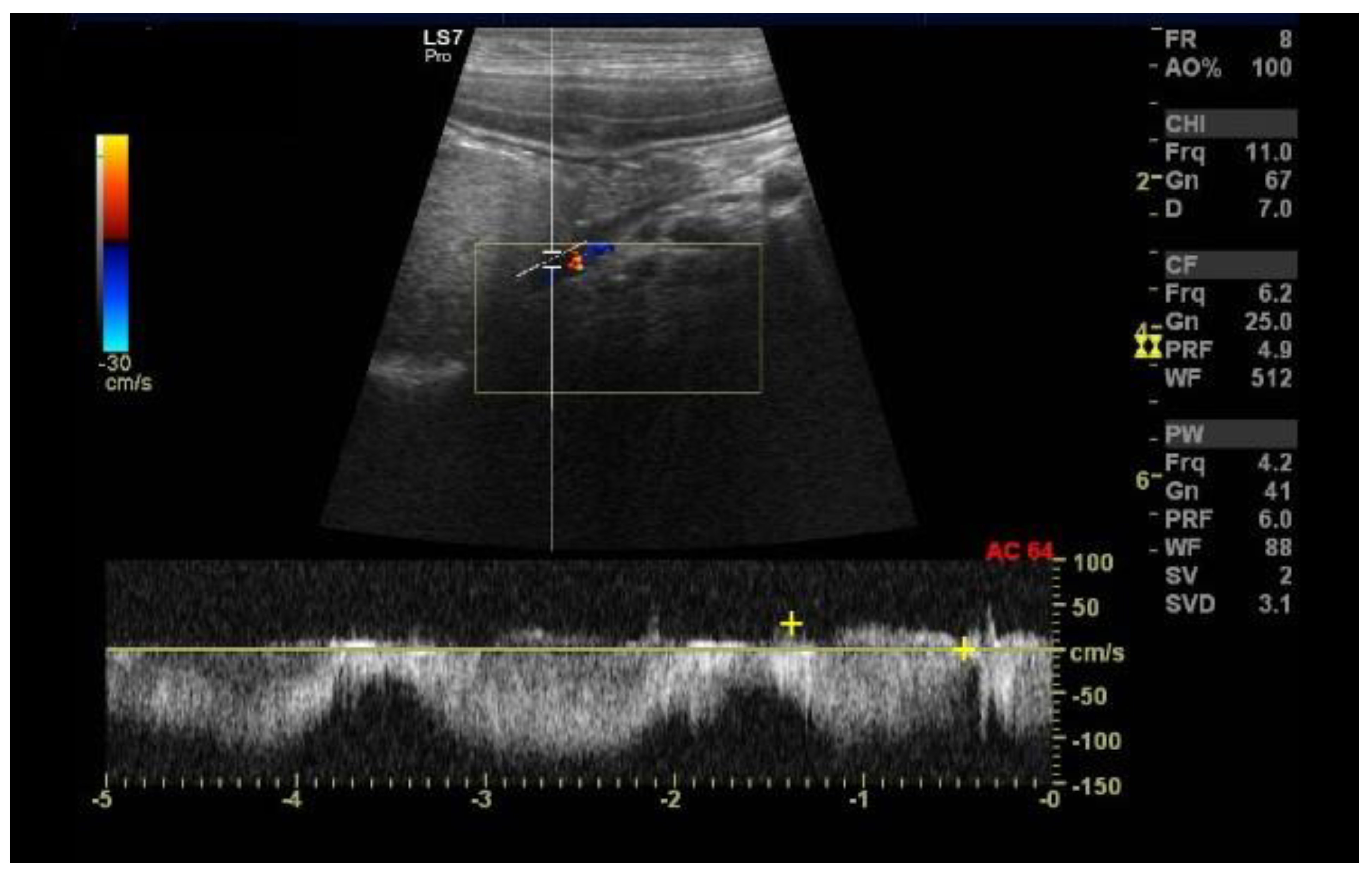 Diagnostics 13 00482 g005