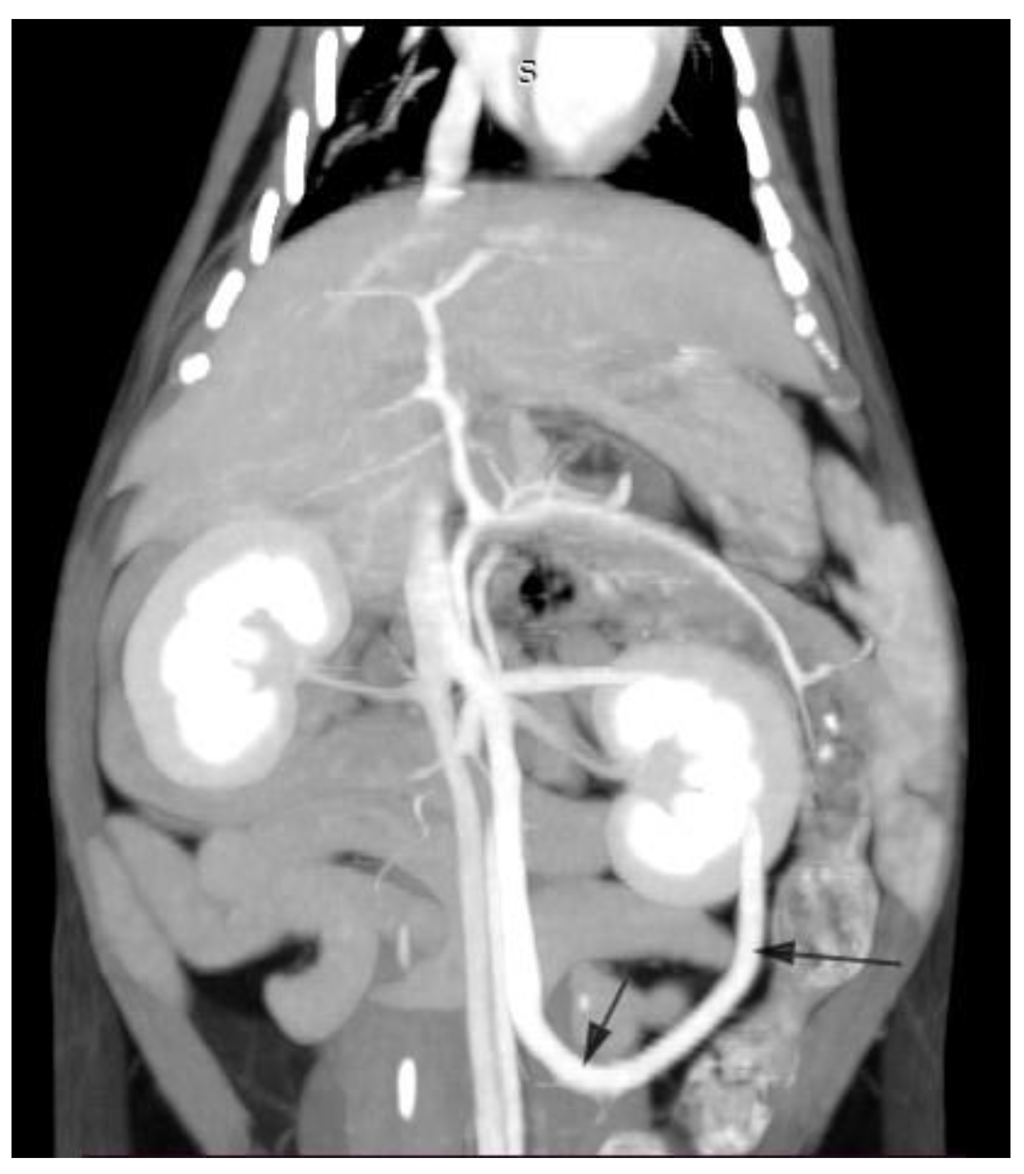 Diagnostics 13 00482 g007