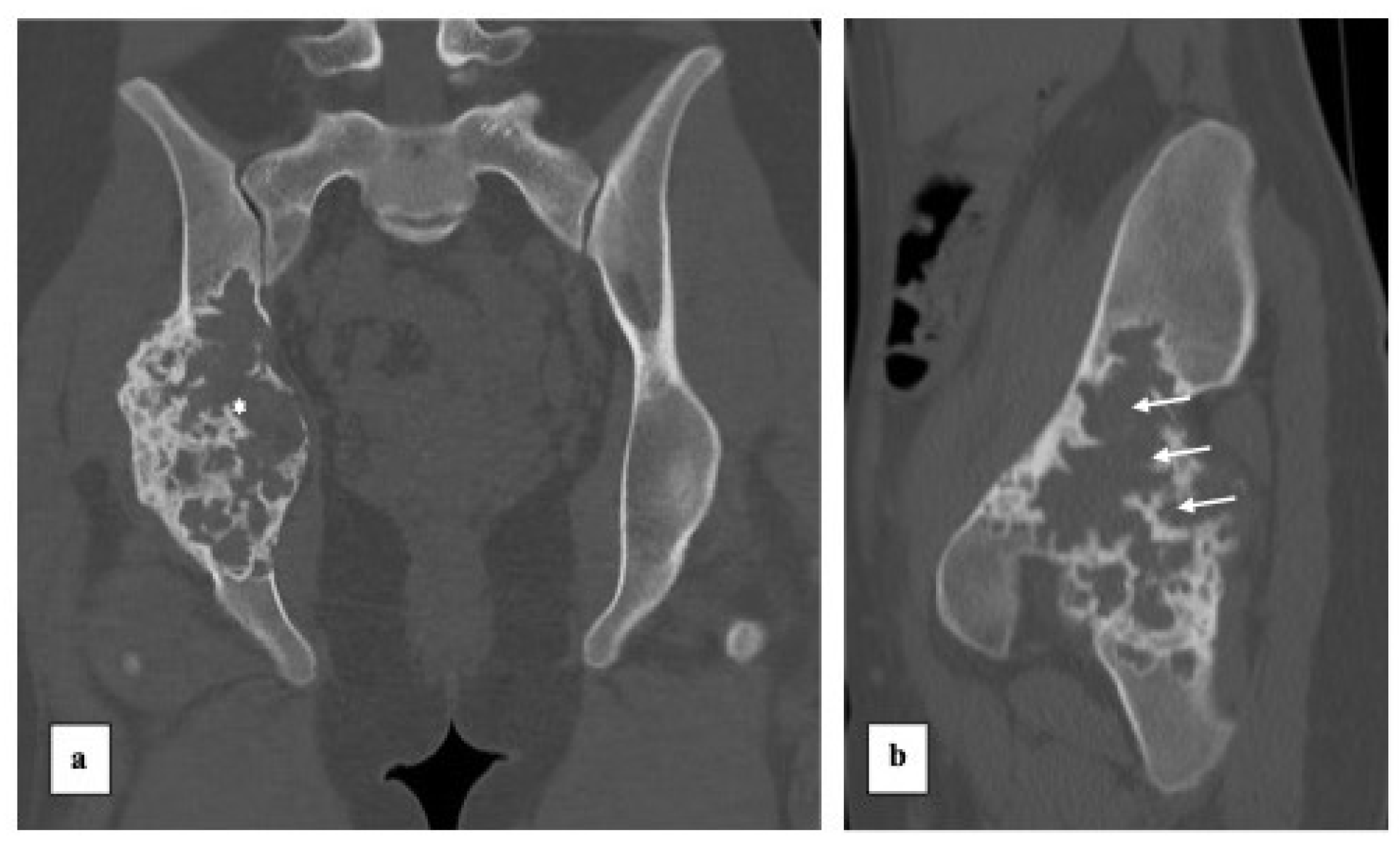 Diagnostics 13 00485 g003 Diagnostics 13 00485 g003
