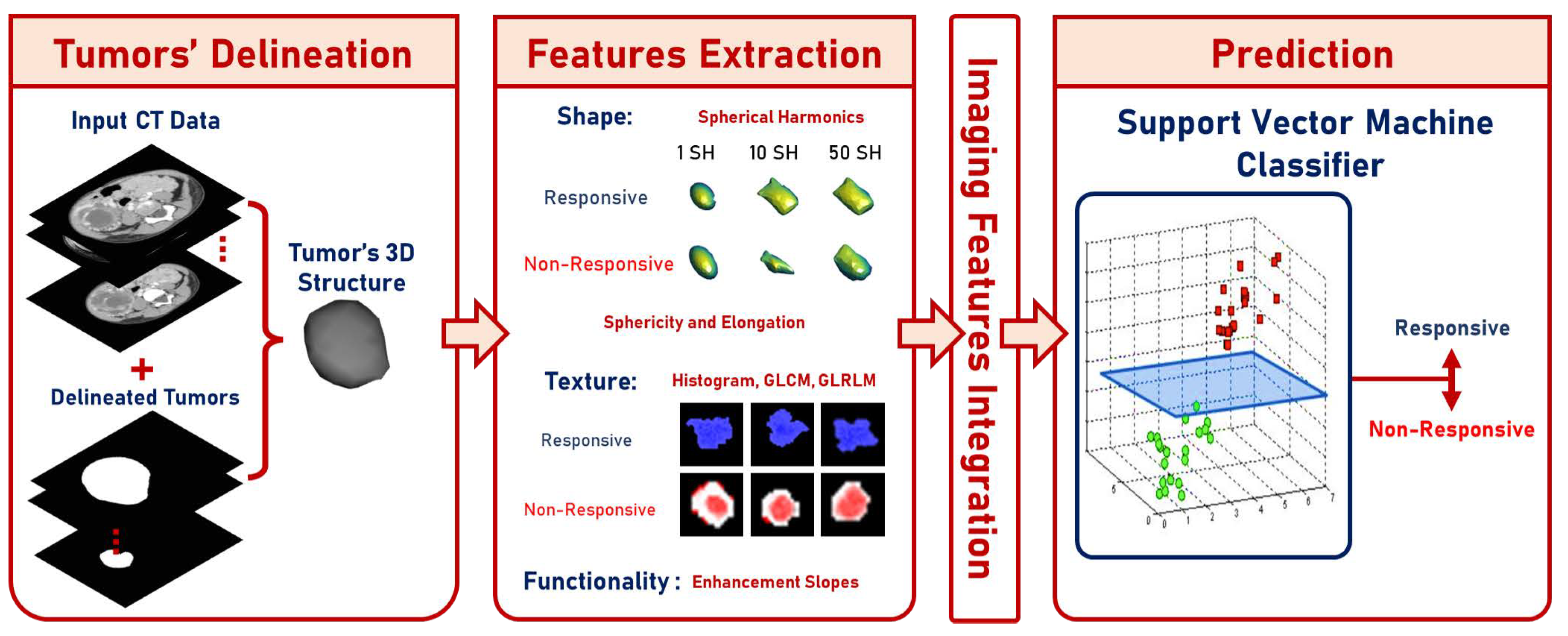 Diagnostics 13 00486 g001