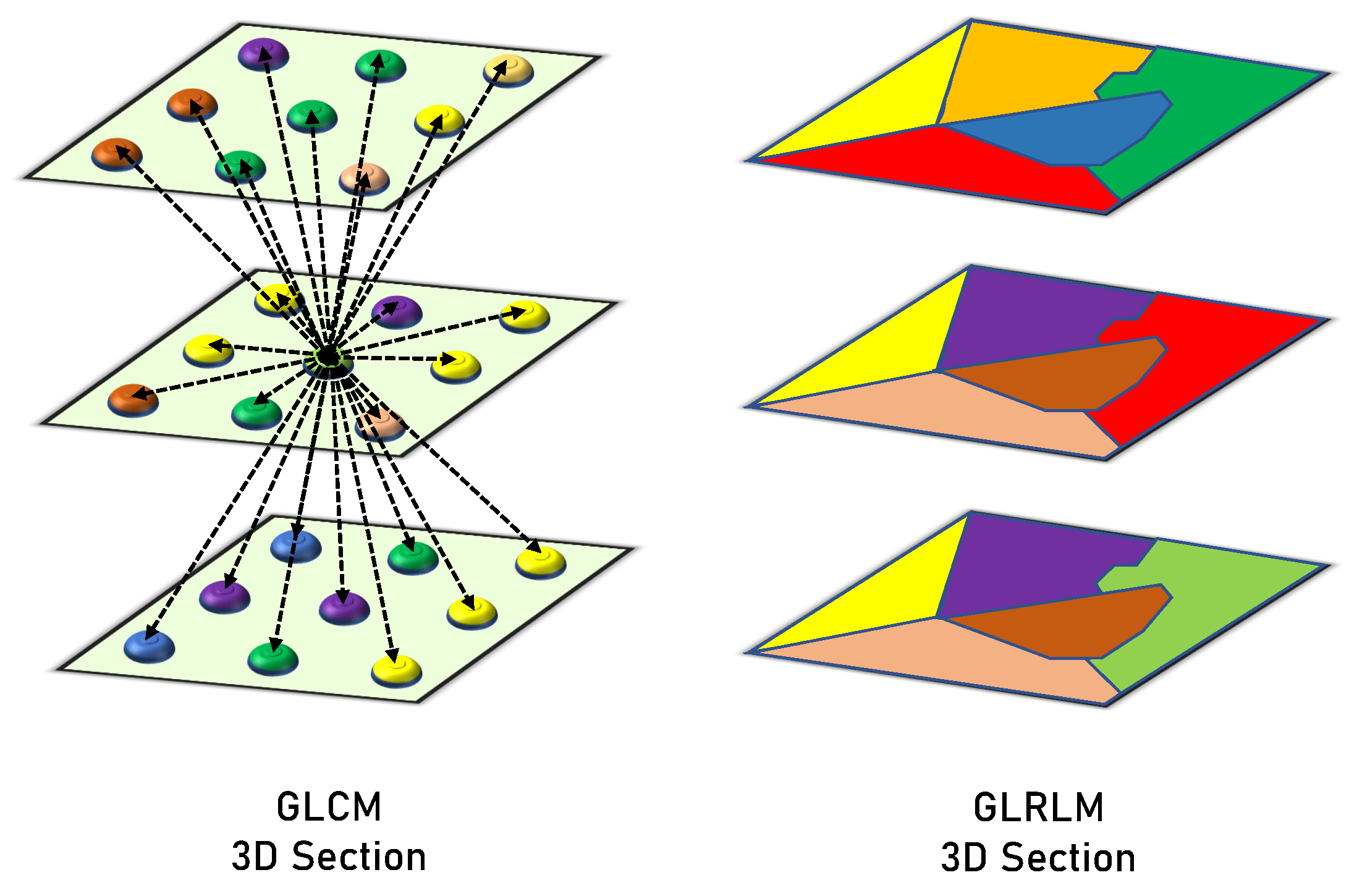 Diagnostics 13 00486 g004